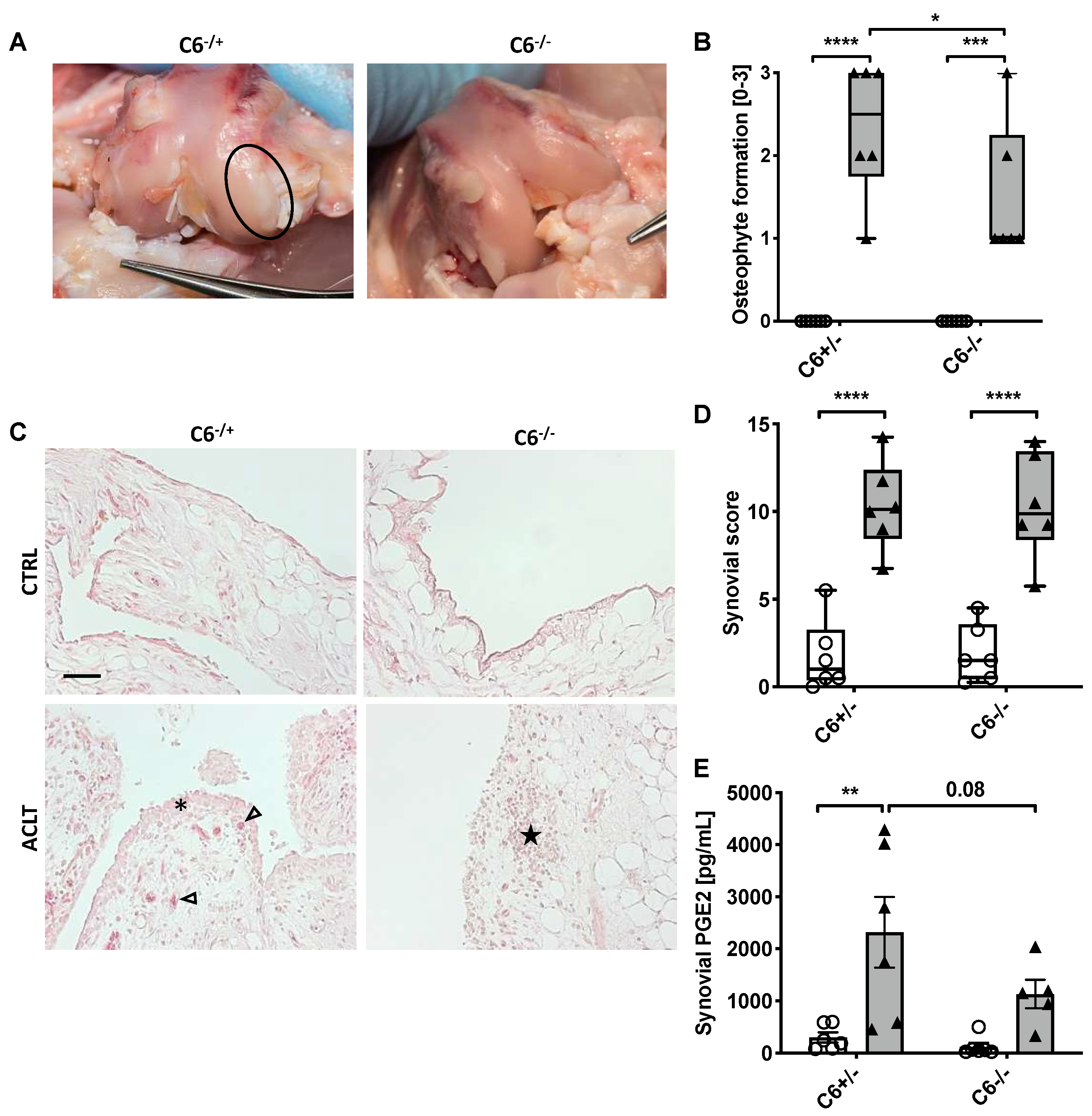 Biomolecules 13 00216 g005