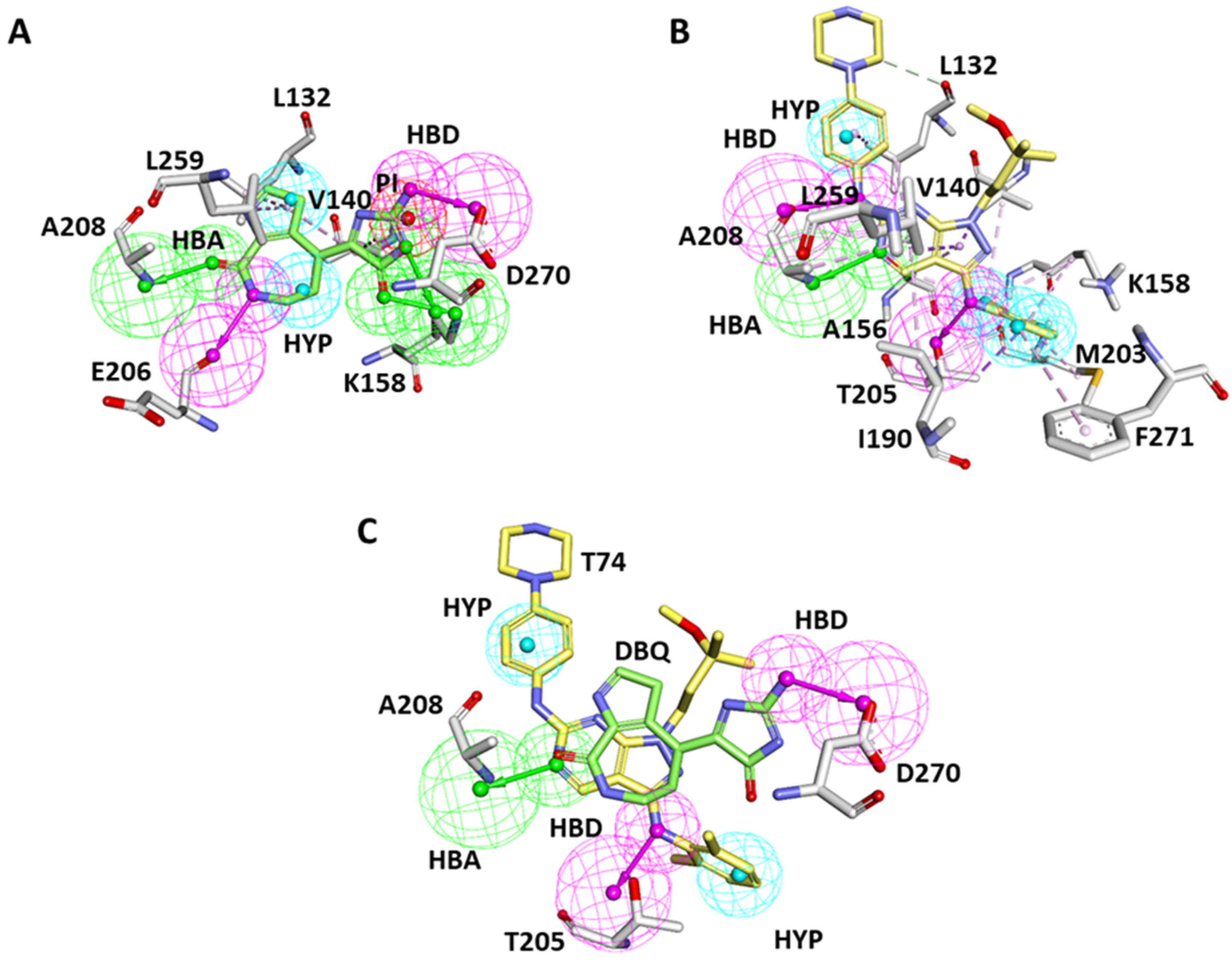 Biomolecules 13 00217 g003 Biomolecules 13 00217 g003