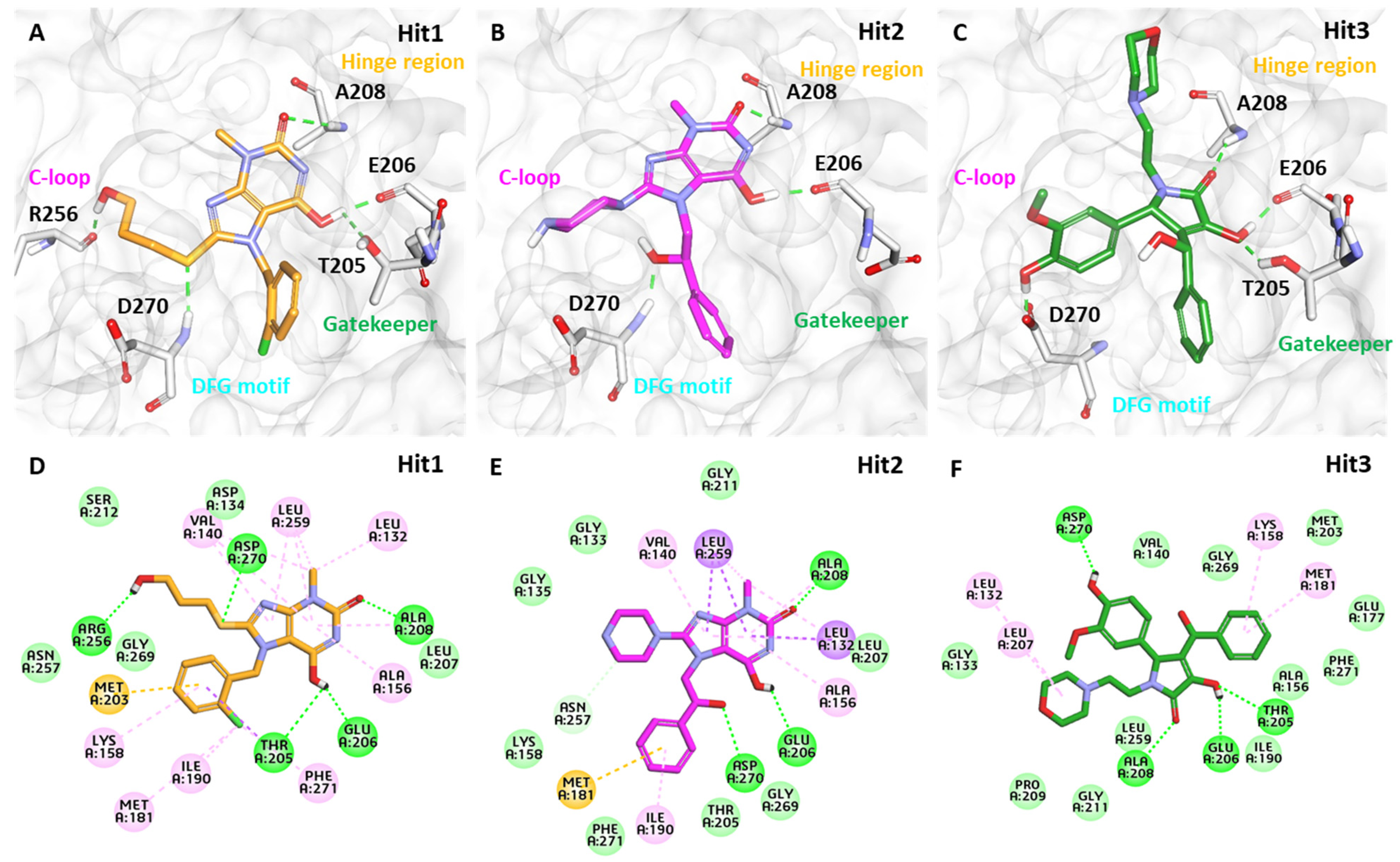 Biomolecules 13 00217 g007 Biomolecules 13 00217 g007