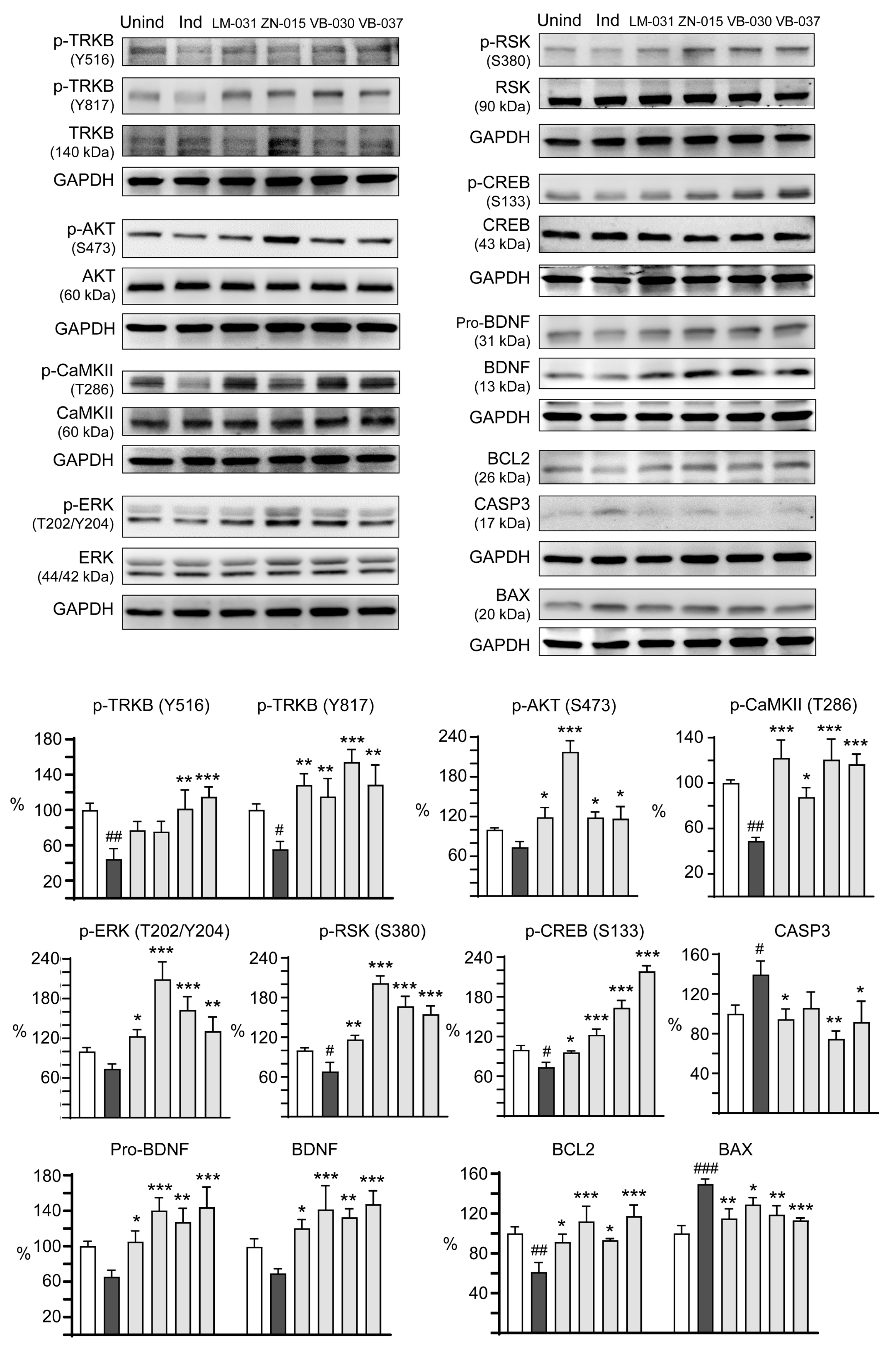Biomolecules 13 00219 g005 Biomolecules 13 00219 g005