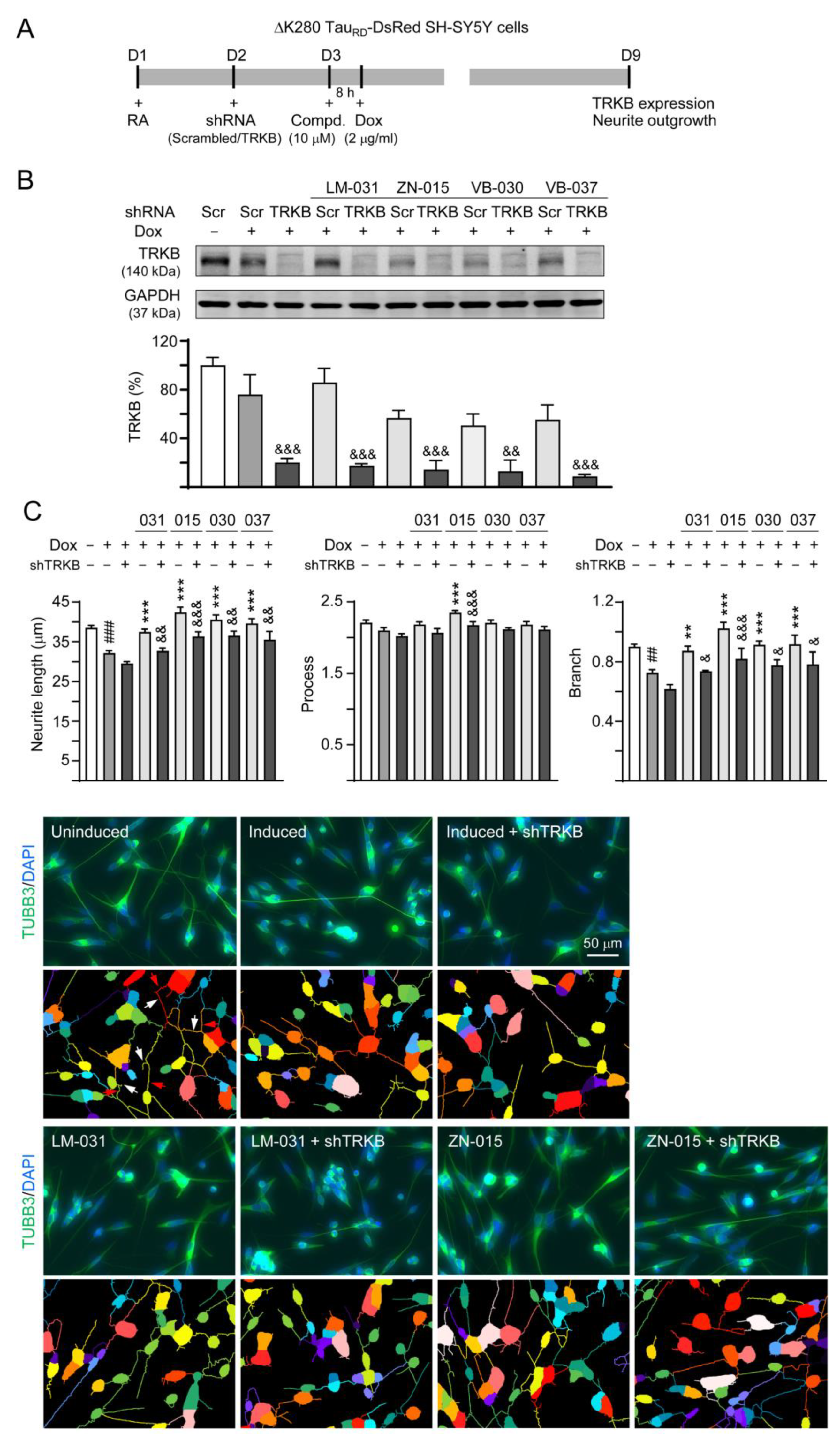 Biomolecules 13 00219 g006a Biomolecules 13 00219 g006a
