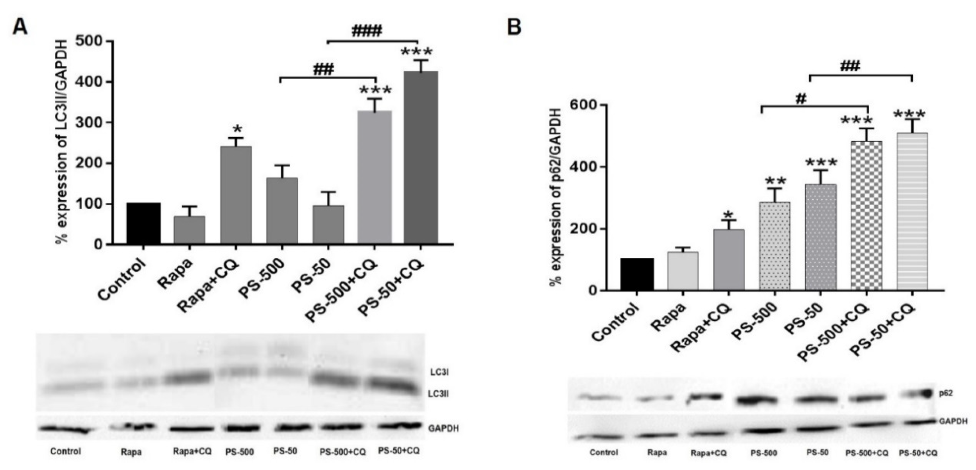 Biomolecules 13 00220 g006