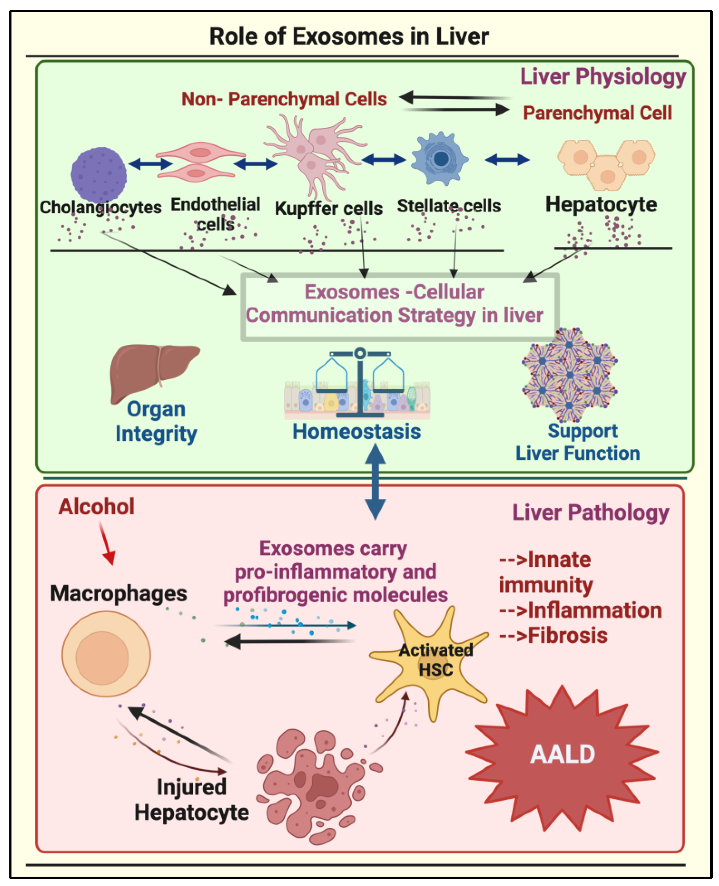 Biomolecules 13 00222 g001 Biomolecules 13 00222 g001