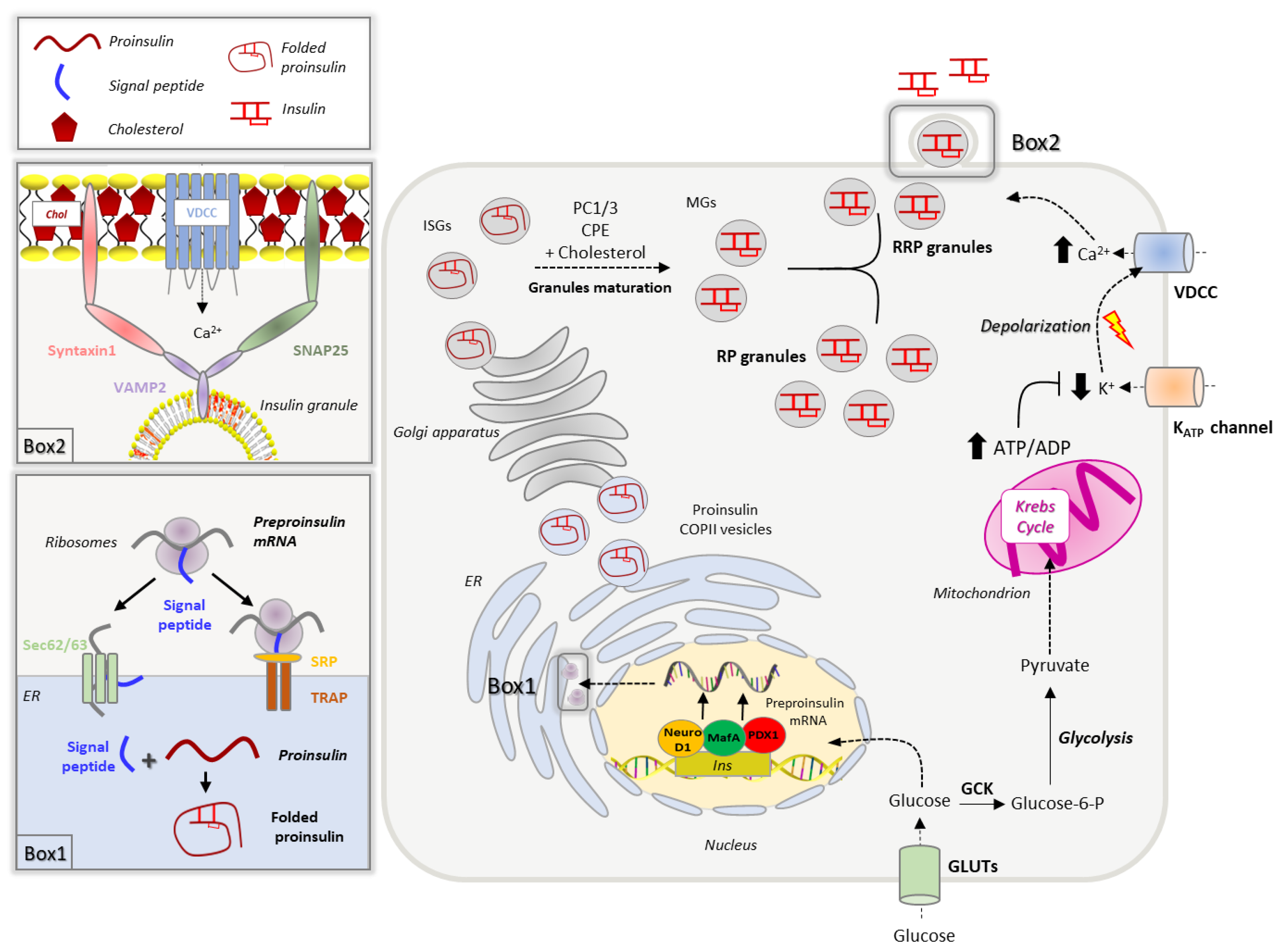 Biomolecules 13 00224 g001 Biomolecules 13 00224 g001