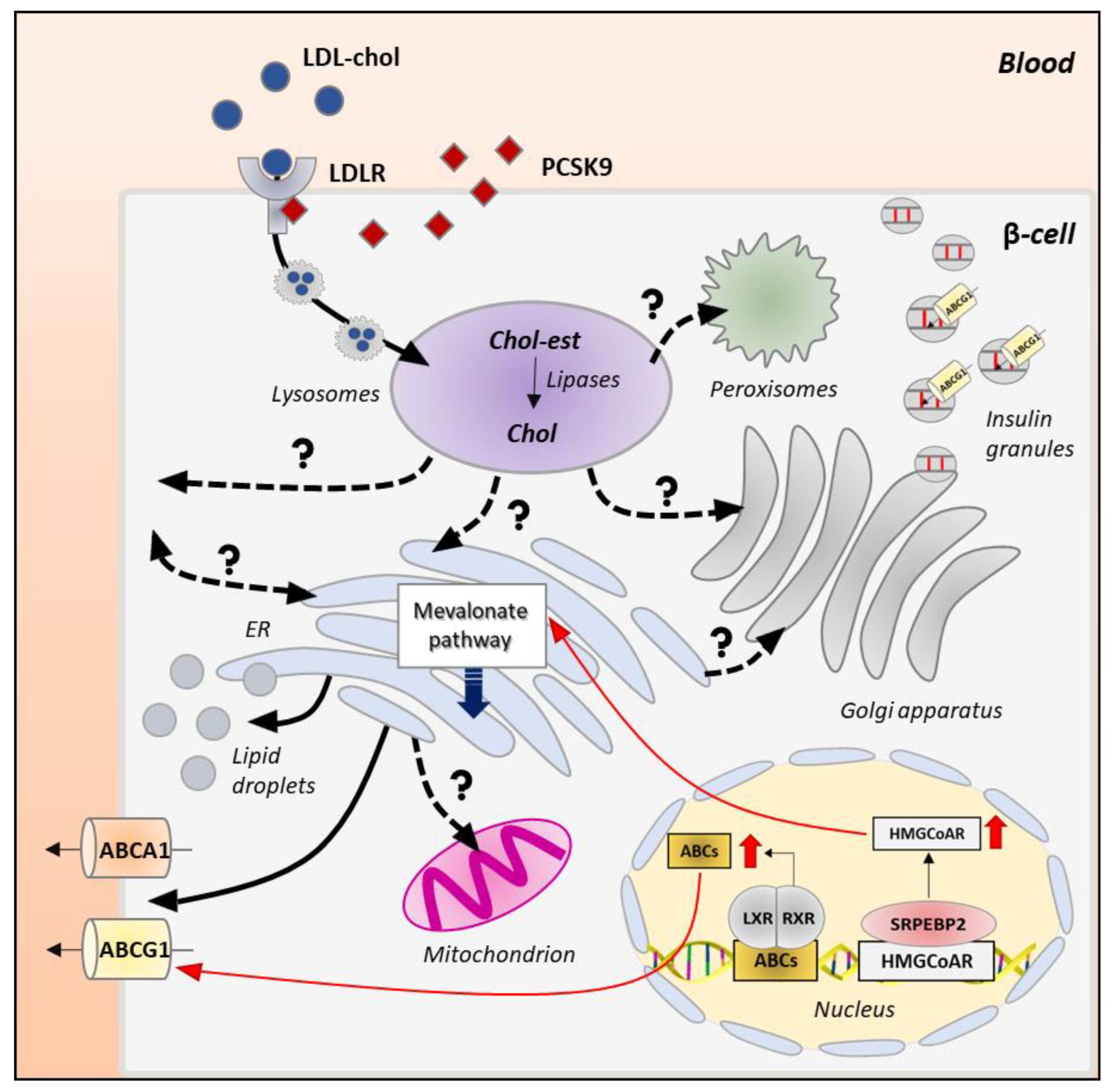 Biomolecules 13 00224 g003 Biomolecules 13 00224 g003