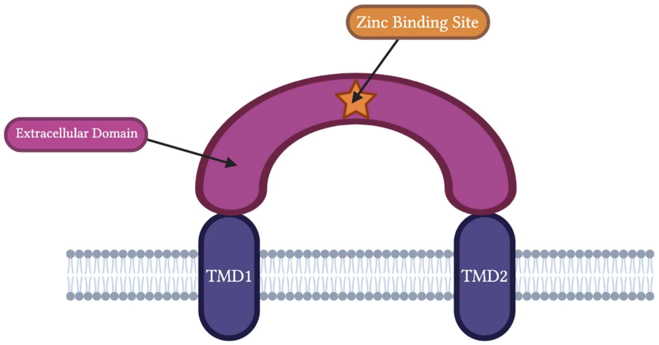Biomolecules Free FullText The Role of Zinc in Modulating Acid