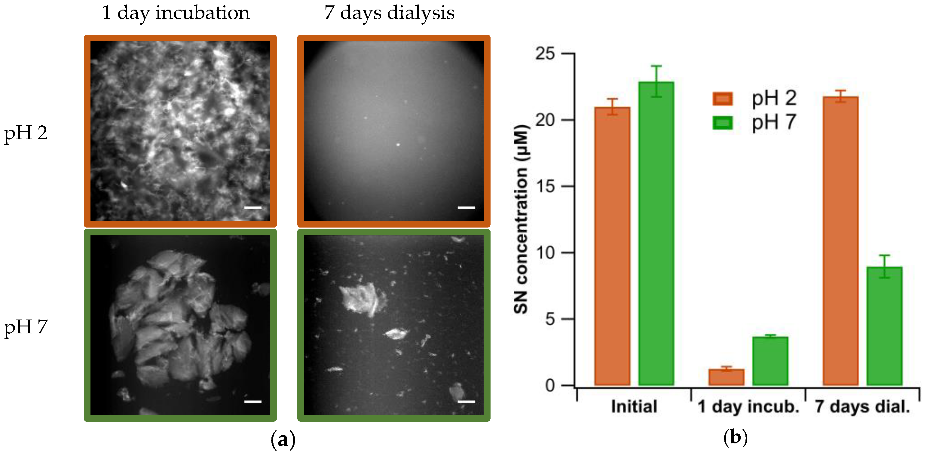 Biomolecules 13 00230 g004 Biomolecules 13 00230 g004