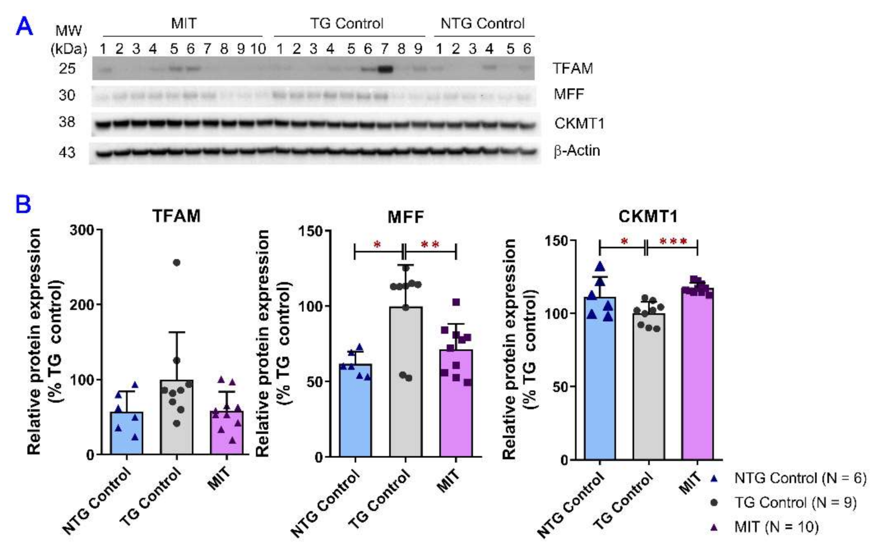 Biomolecules 13 00232 g004