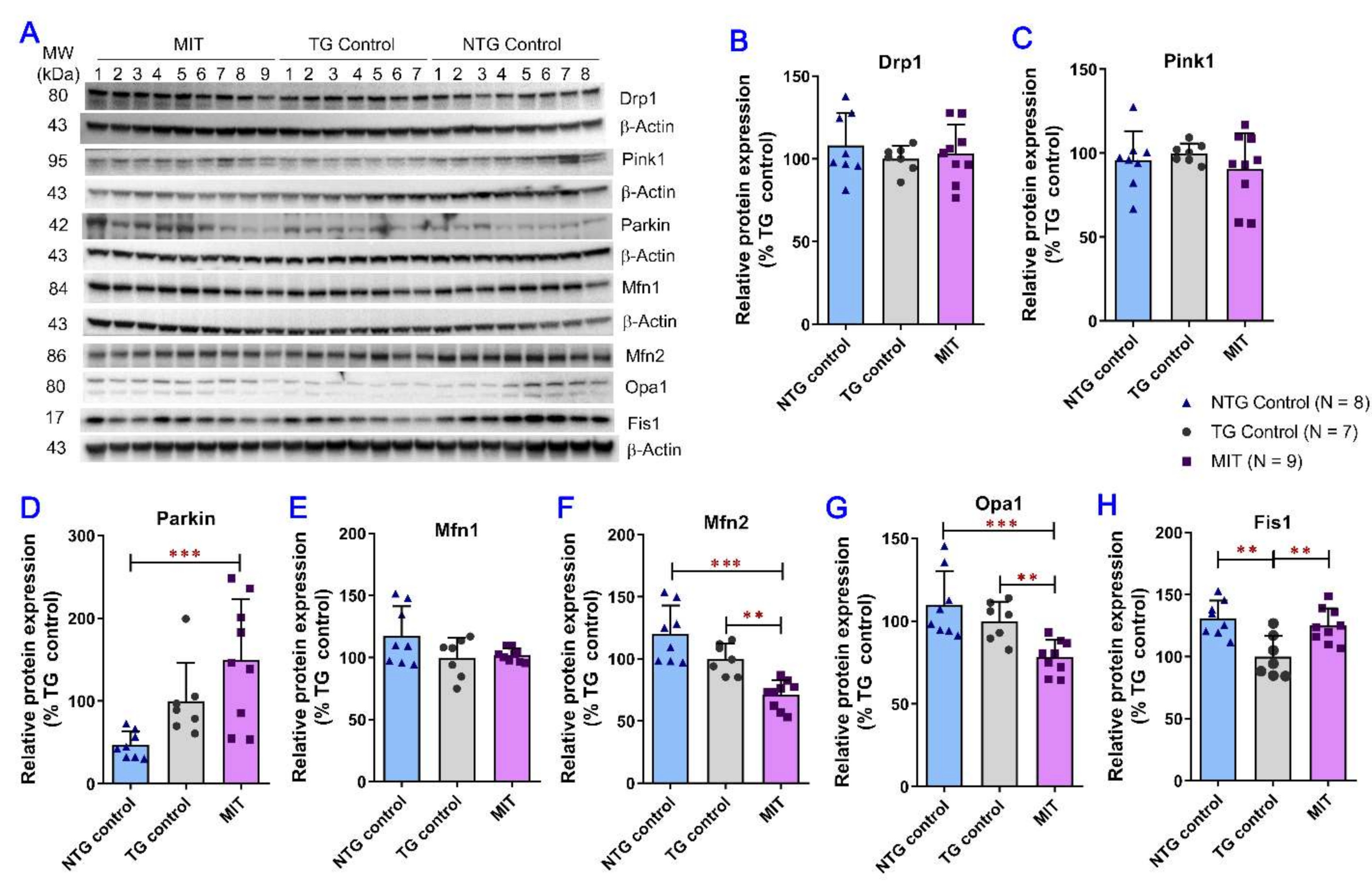 Biomolecules 13 00232 g005