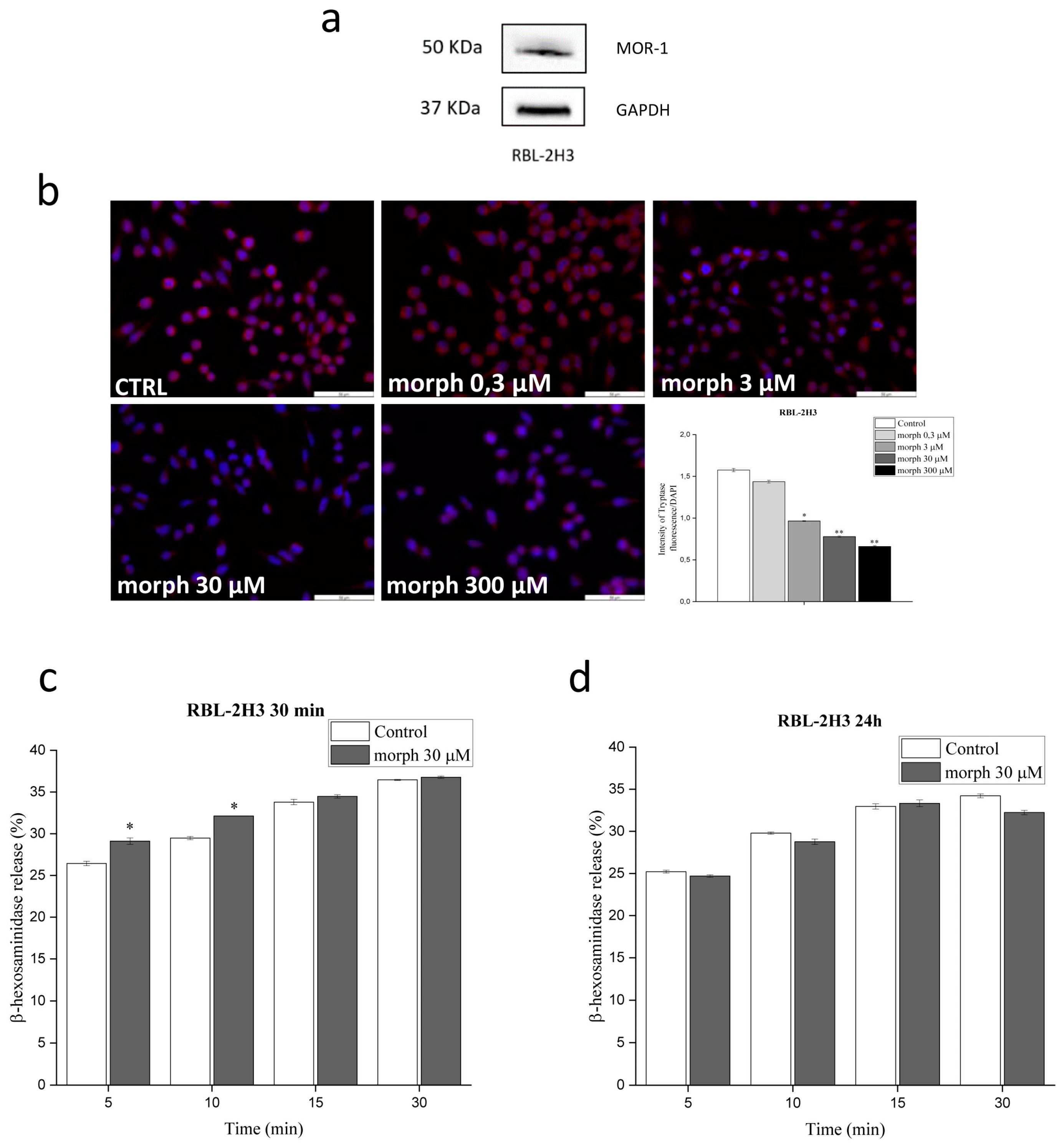 Biomolecules 13 00233 g002 Biomolecules 13 00233 g002