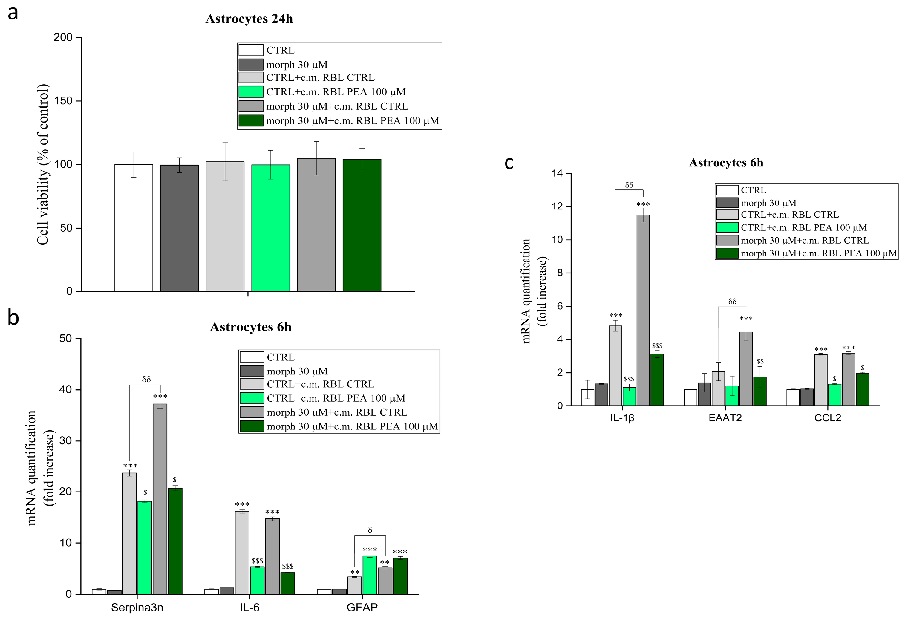 Biomolecules 13 00233 g005 Biomolecules 13 00233 g005