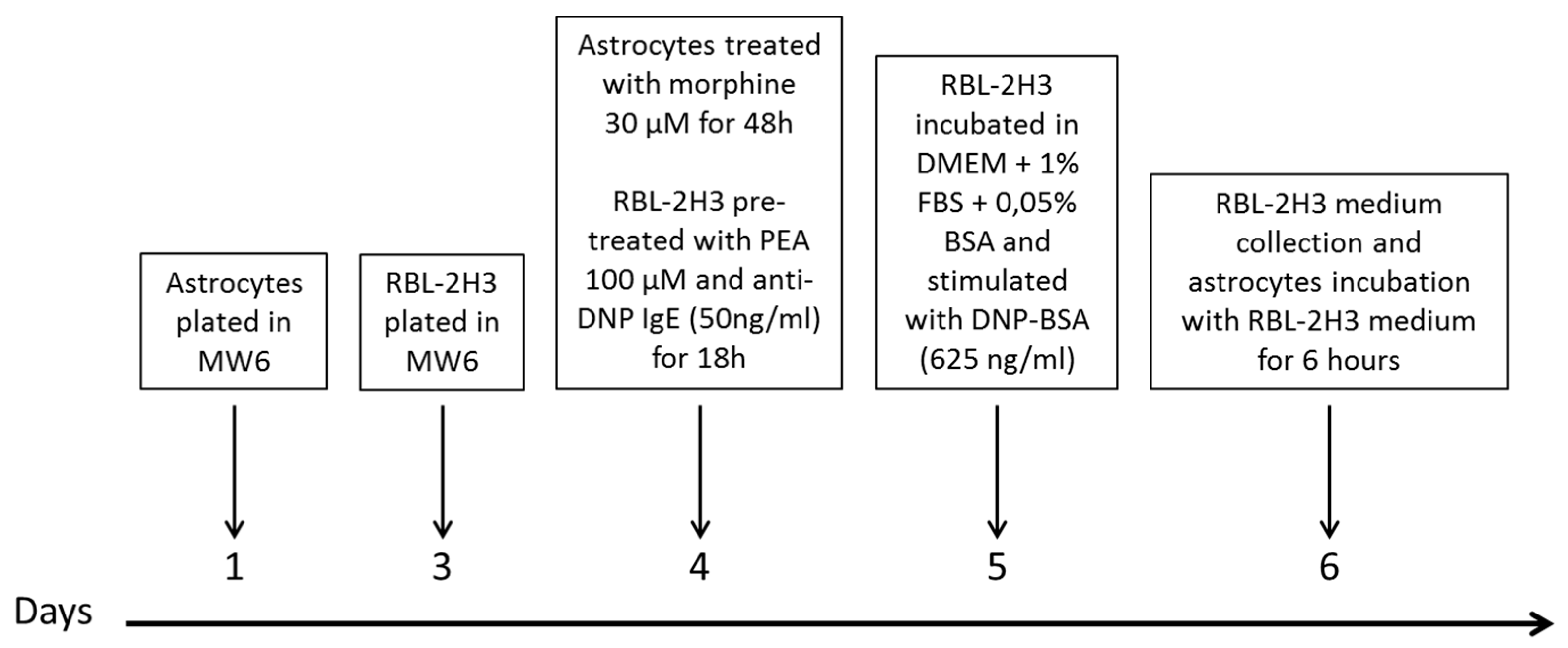 Biomolecules 13 00233 sch001 Biomolecules 13 00233 sch001