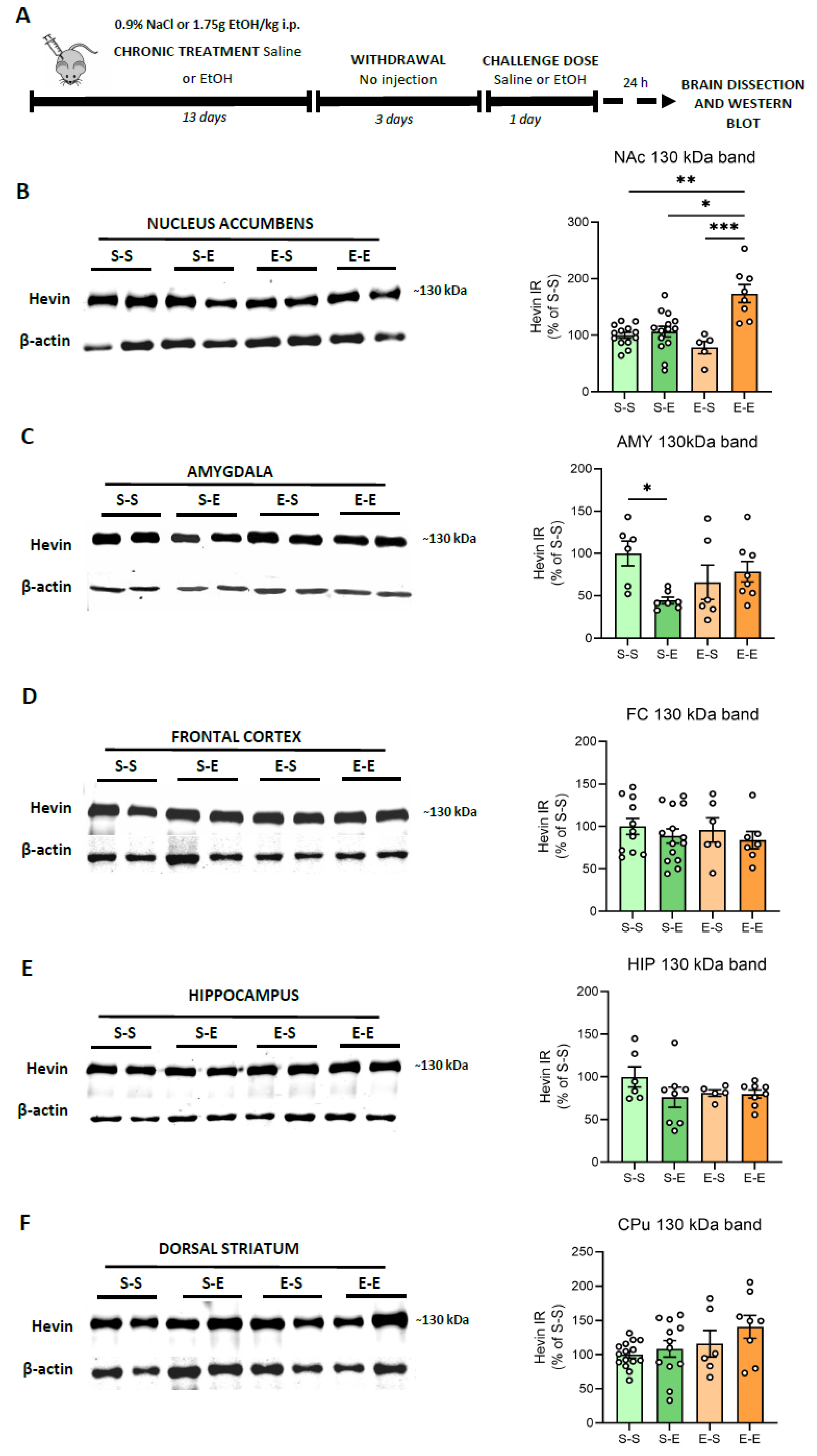 Biomolecules 13 00234 g003 Biomolecules 13 00234 g003