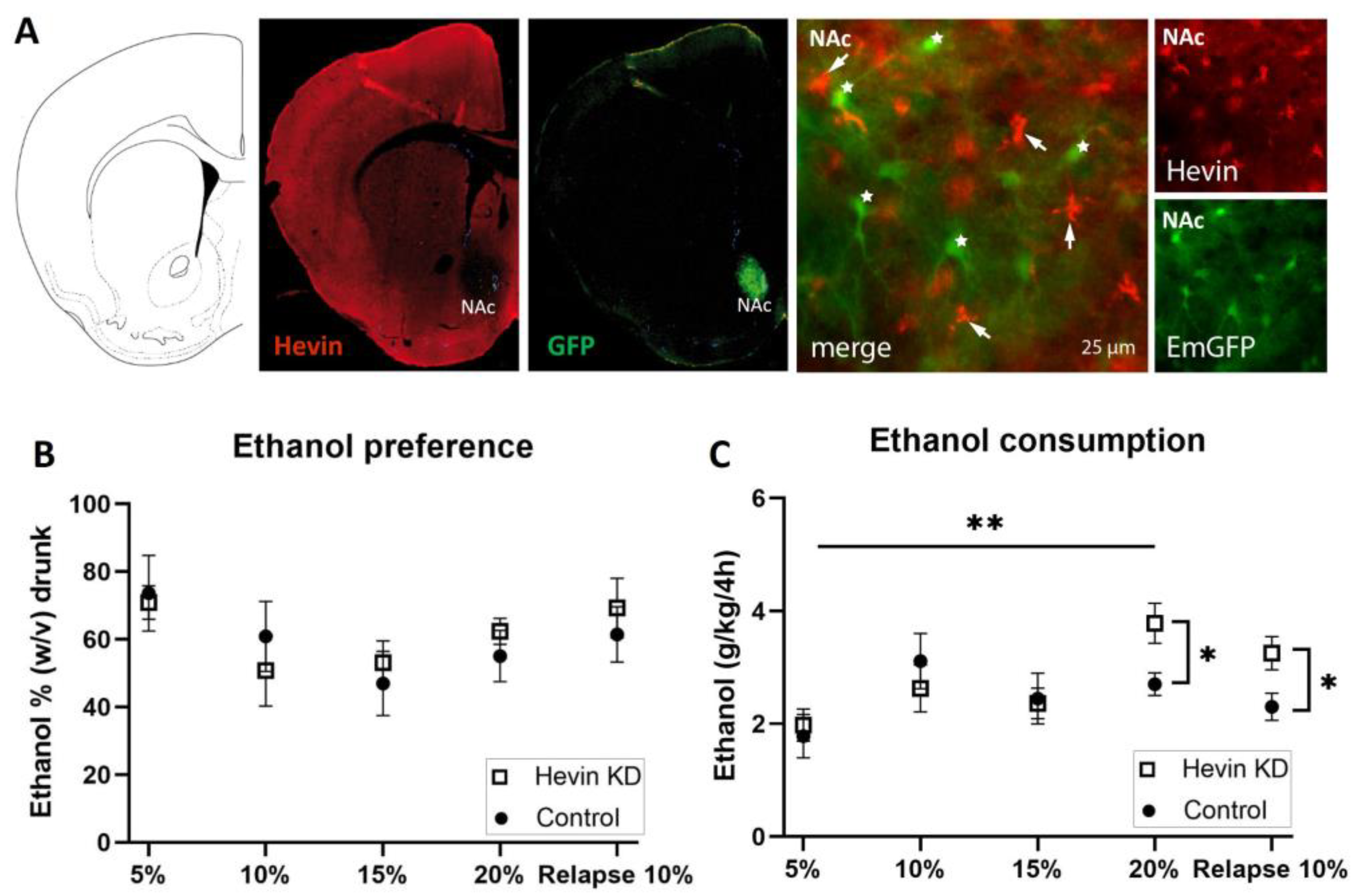 Biomolecules 13 00234 g005 Biomolecules 13 00234 g005