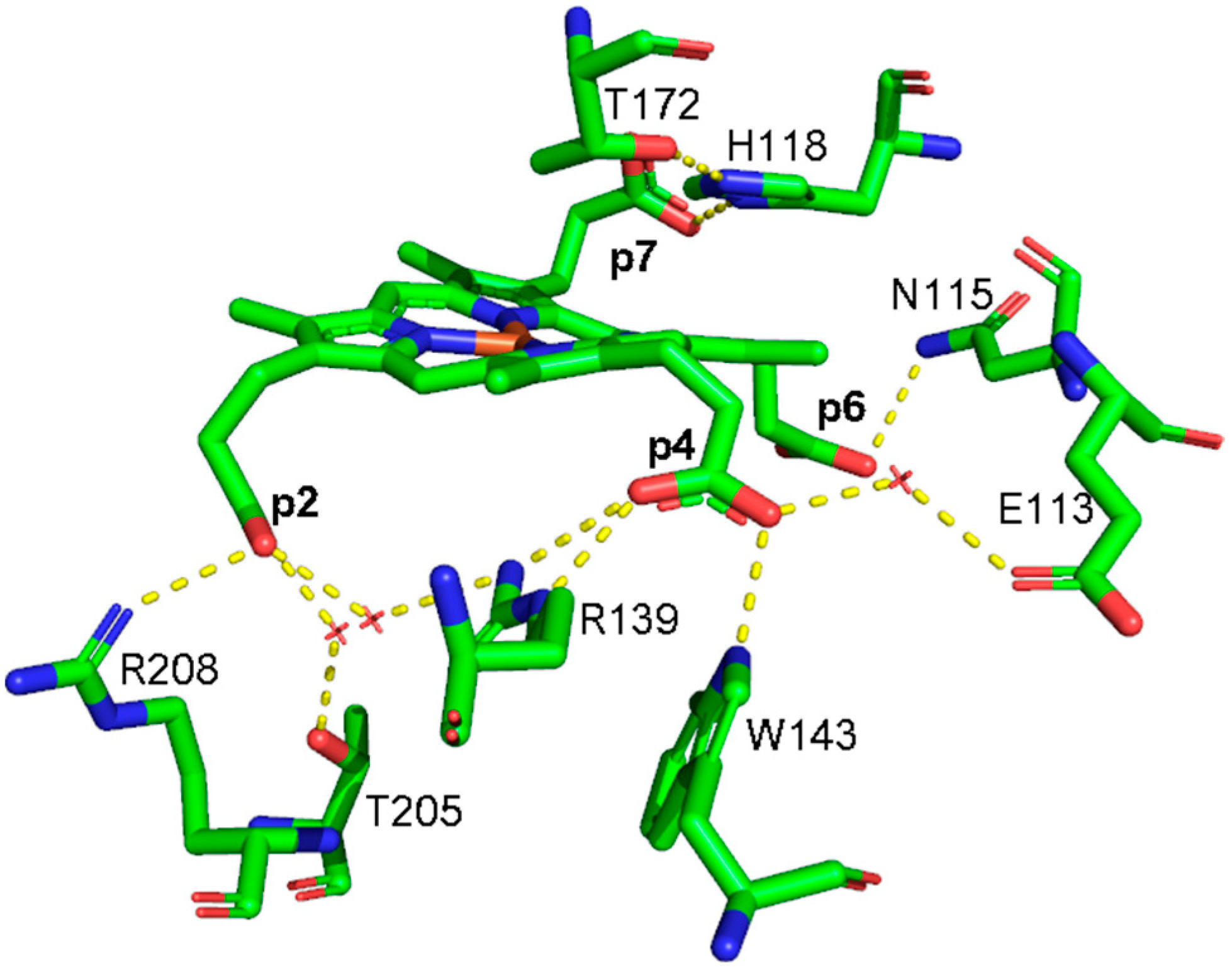 Biomolecules 13 00235 g001