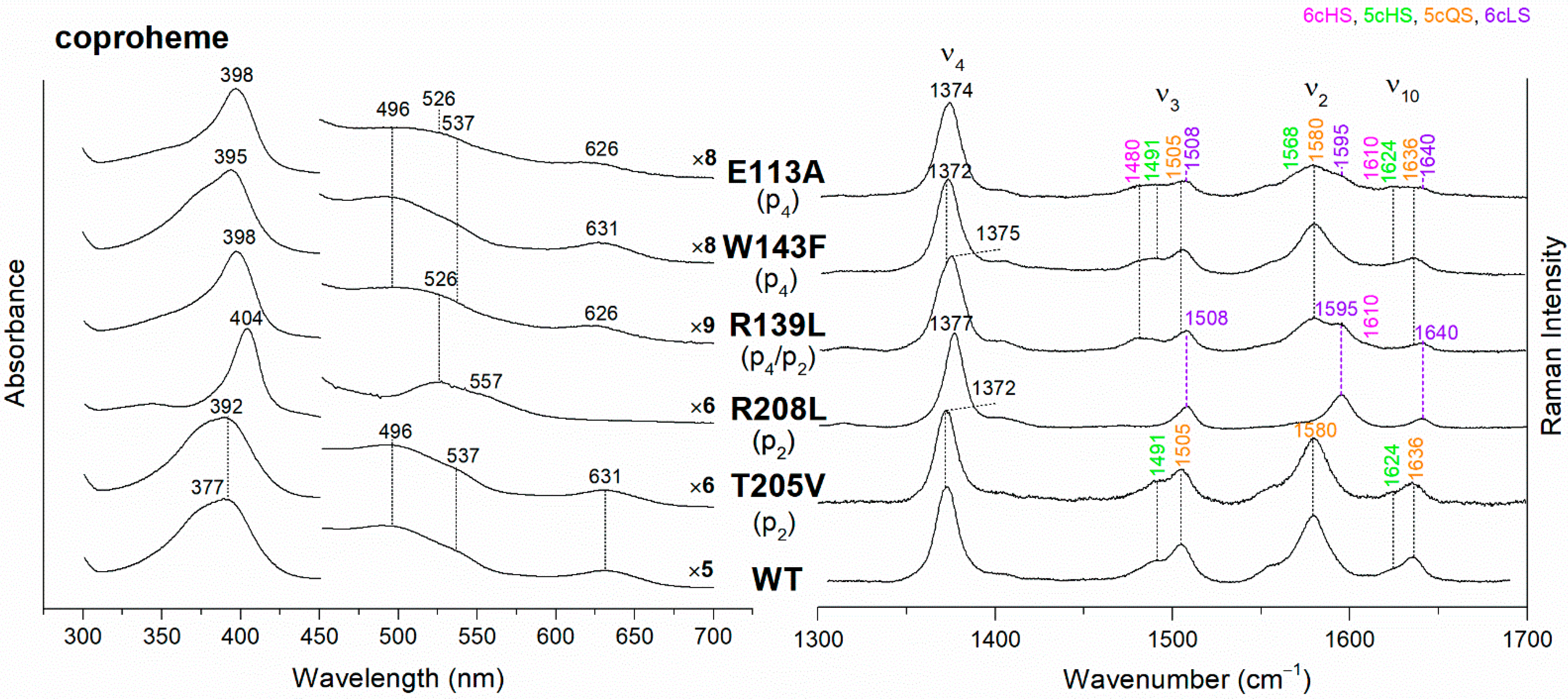 Biomolecules 13 00235 g002