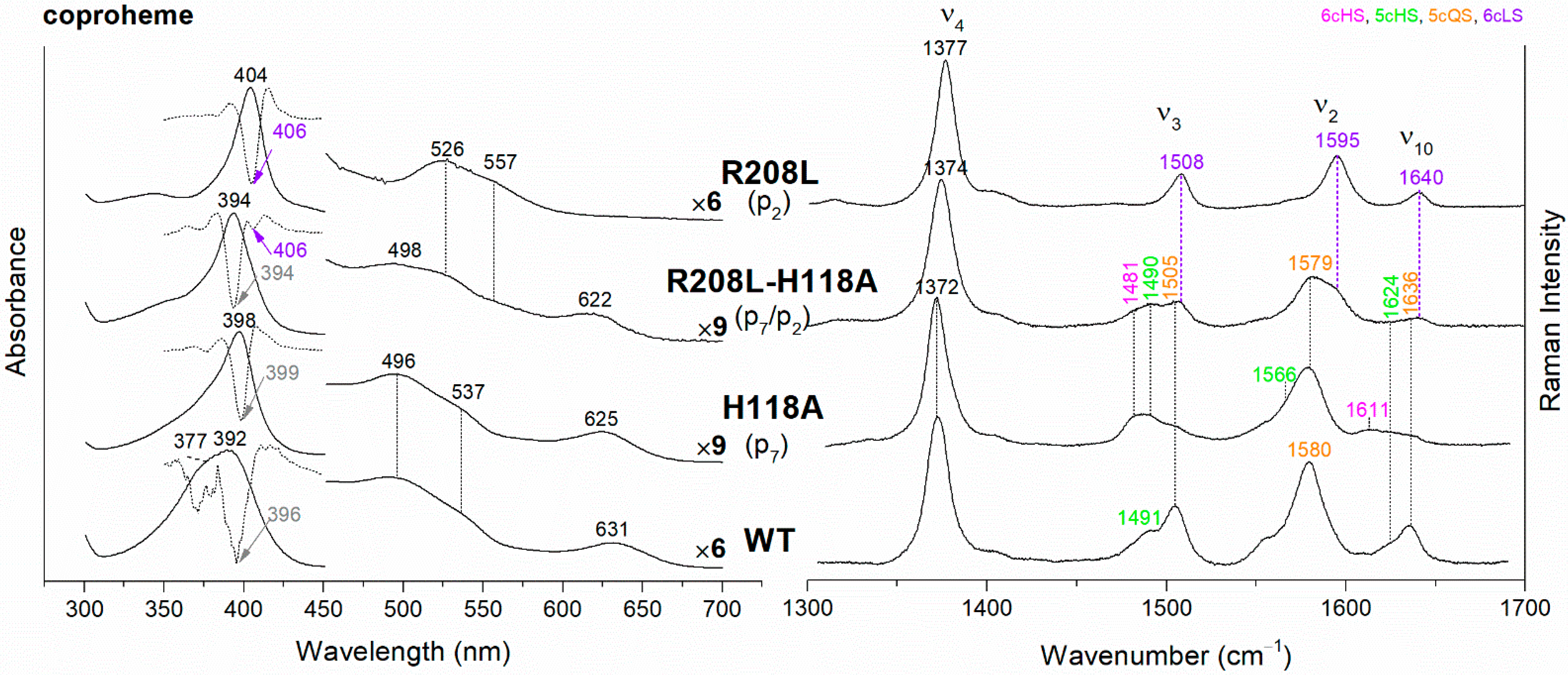 Biomolecules 13 00235 g003