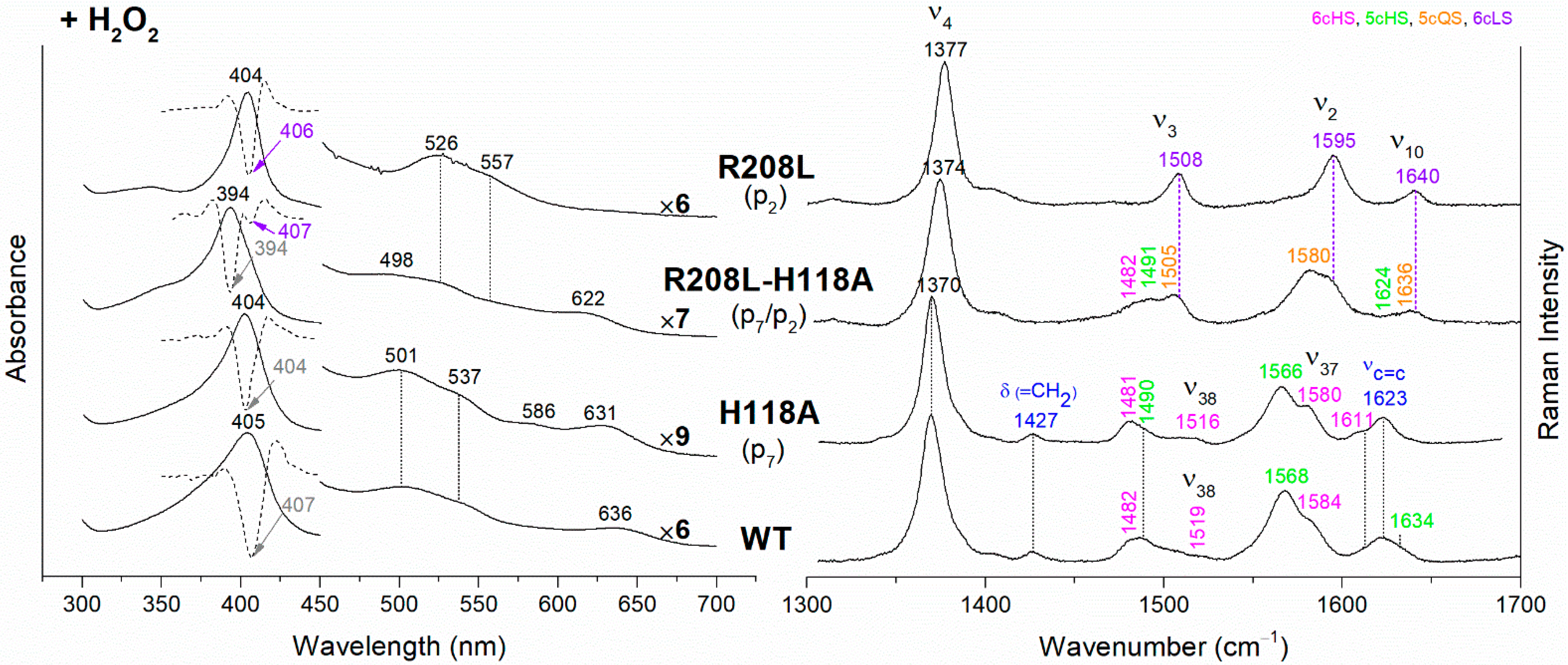 Biomolecules 13 00235 g005