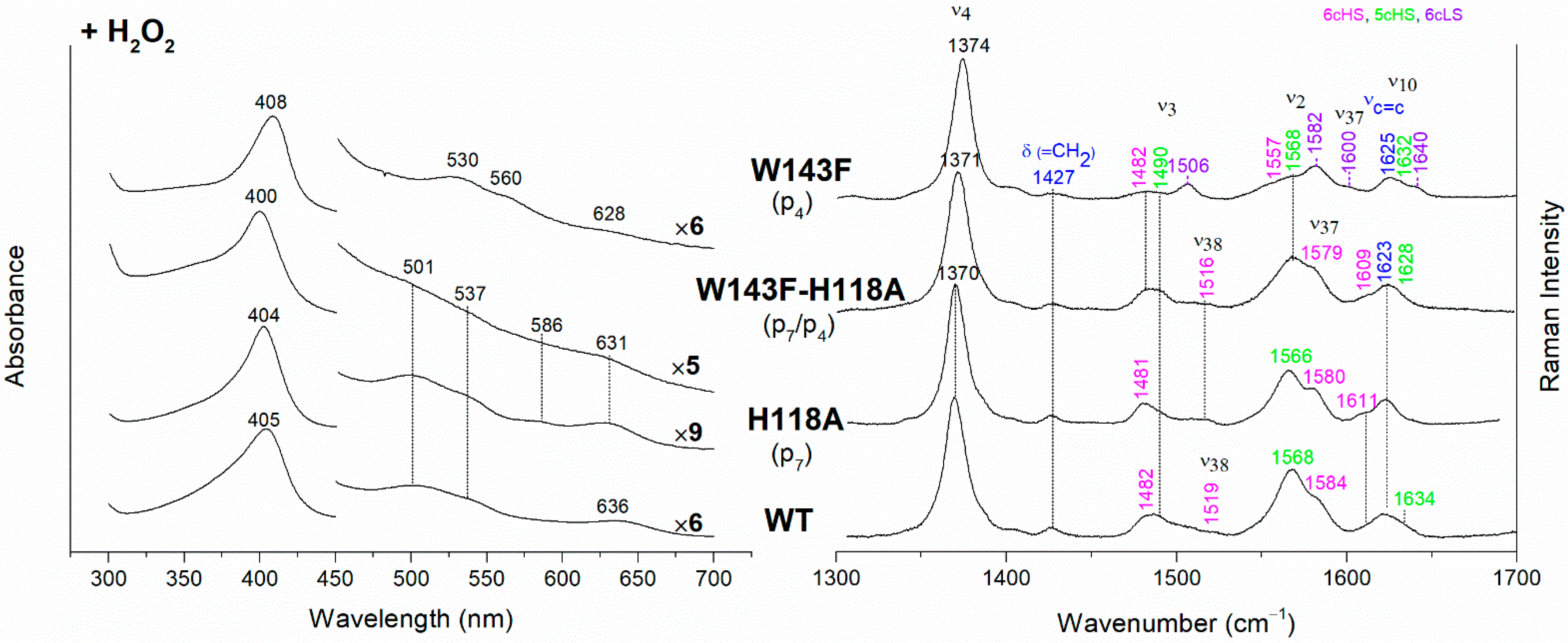 Biomolecules 13 00235 g006