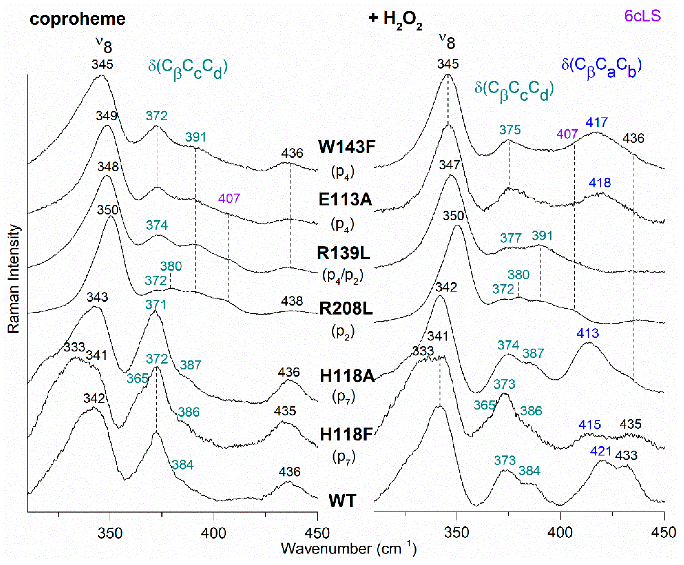 Biomolecules 13 00235 g007