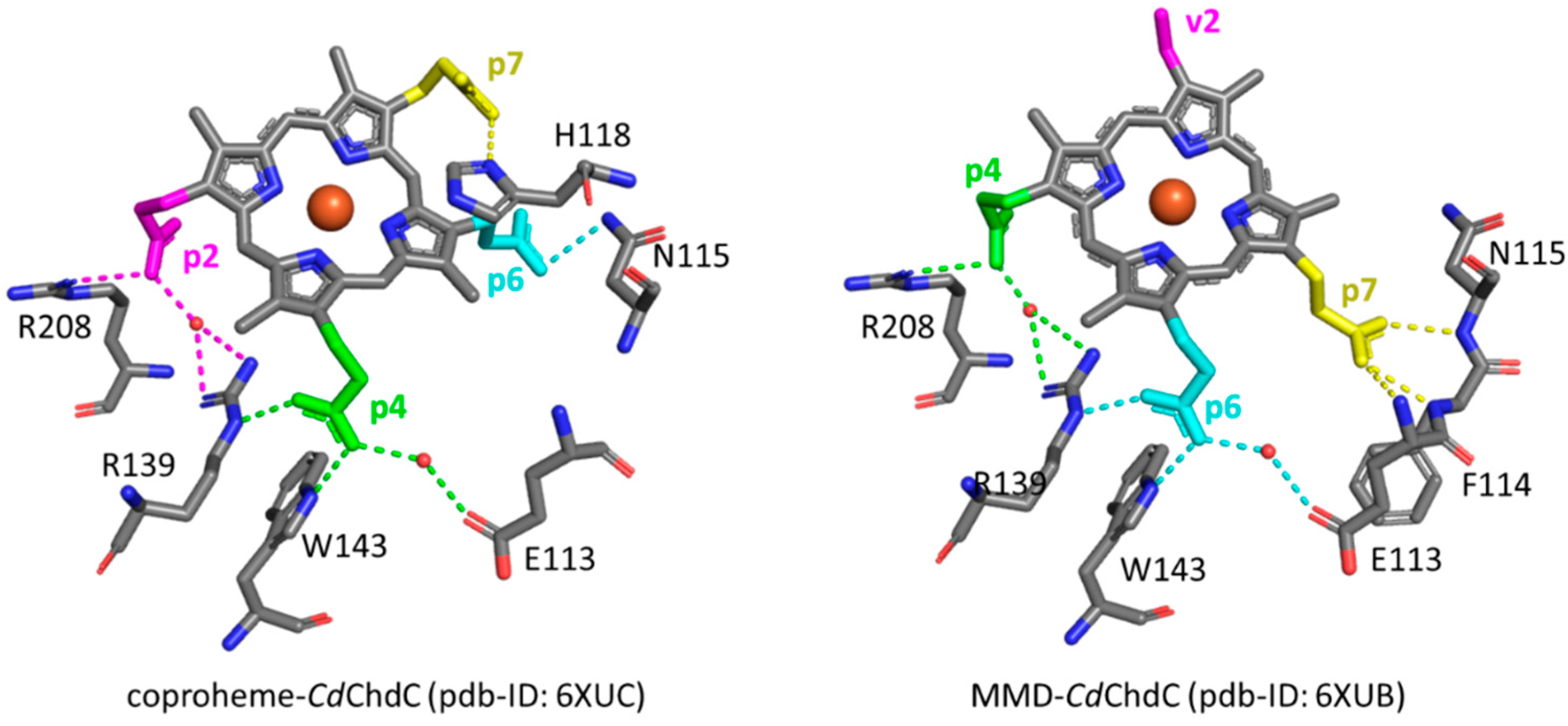 Biomolecules 13 00235 g009