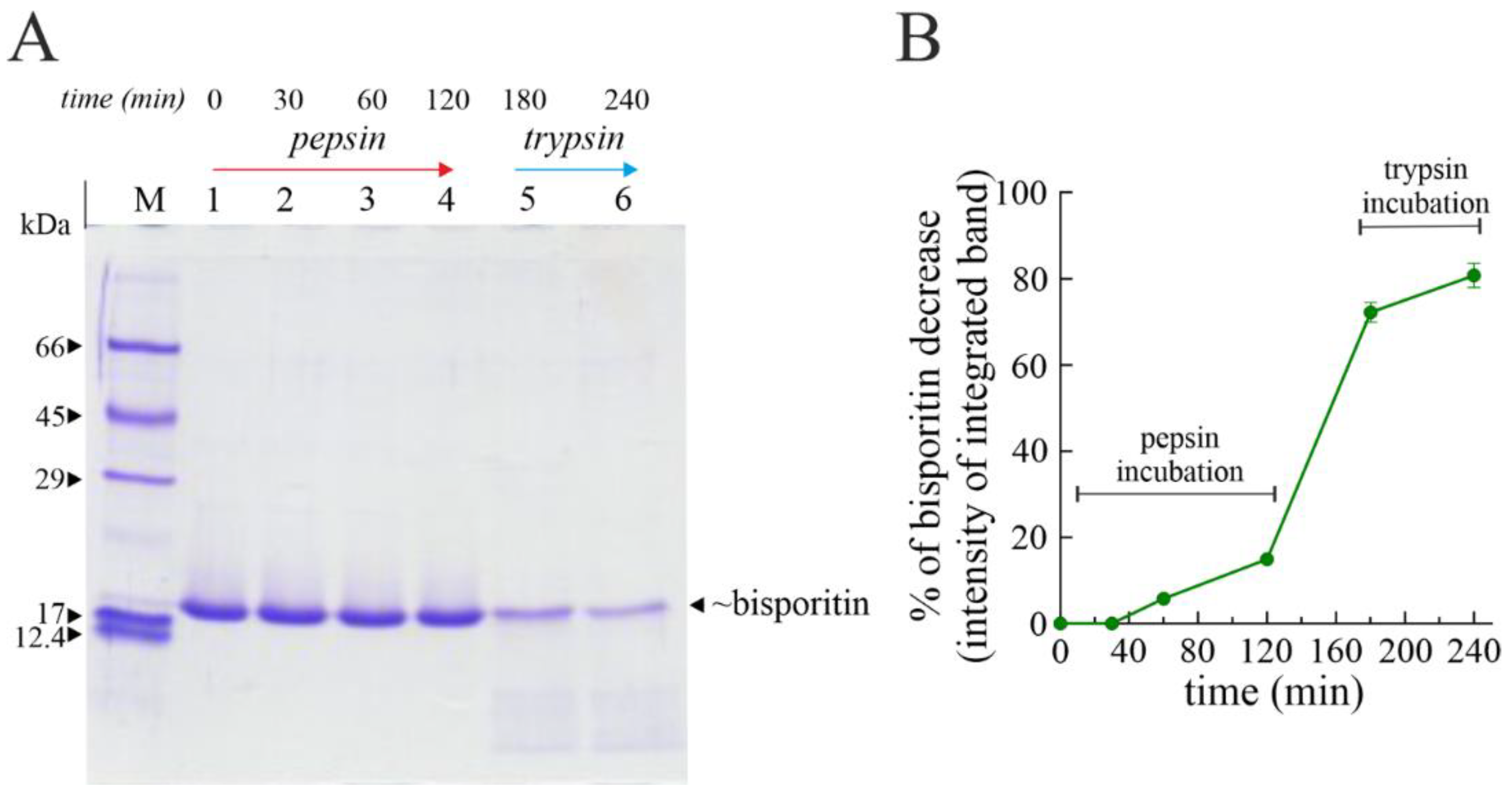 Biomolecules 13 00237 g004 Biomolecules 13 00237 g004