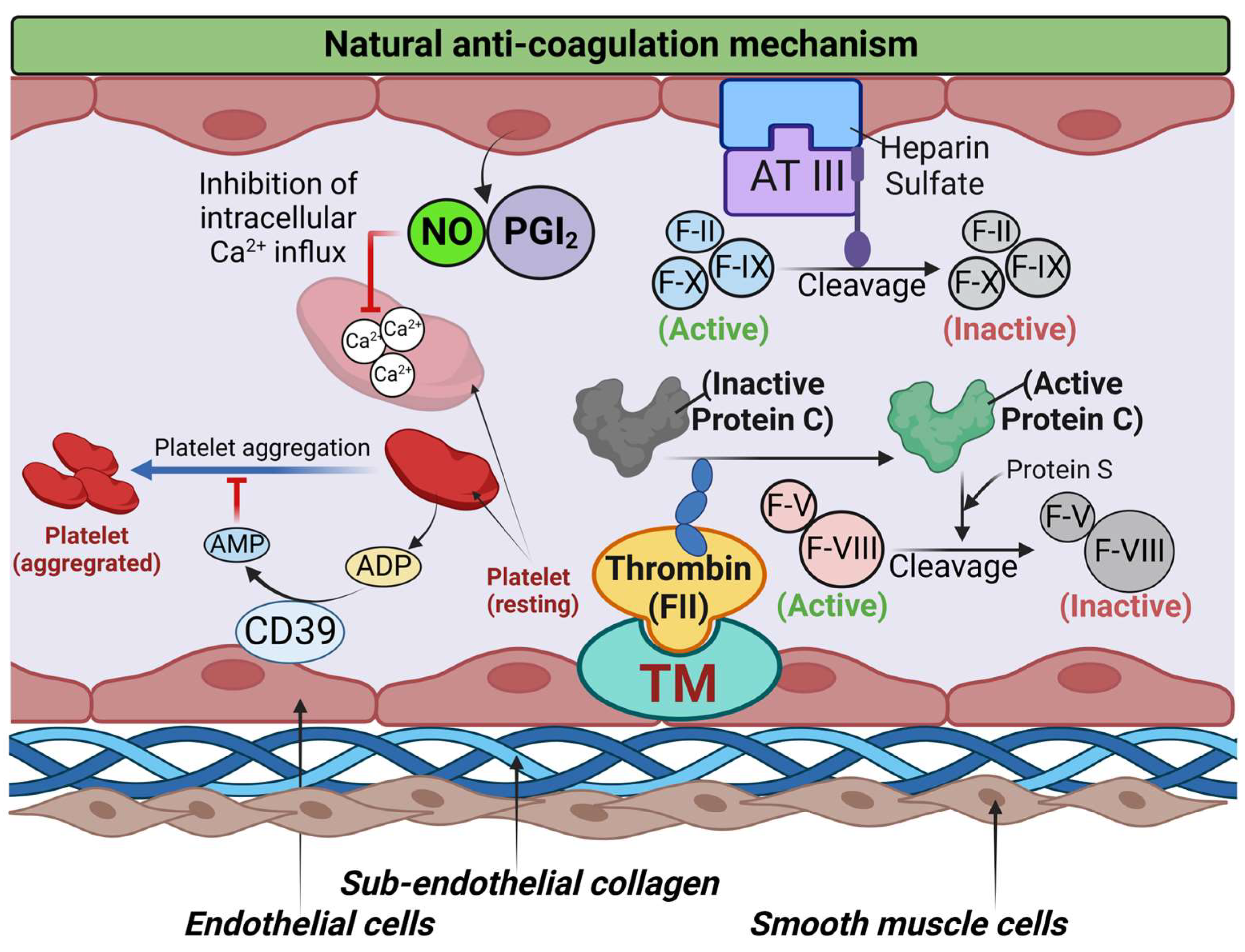 Biomolecules 13 00241 g001 Biomolecules 13 00241 g001