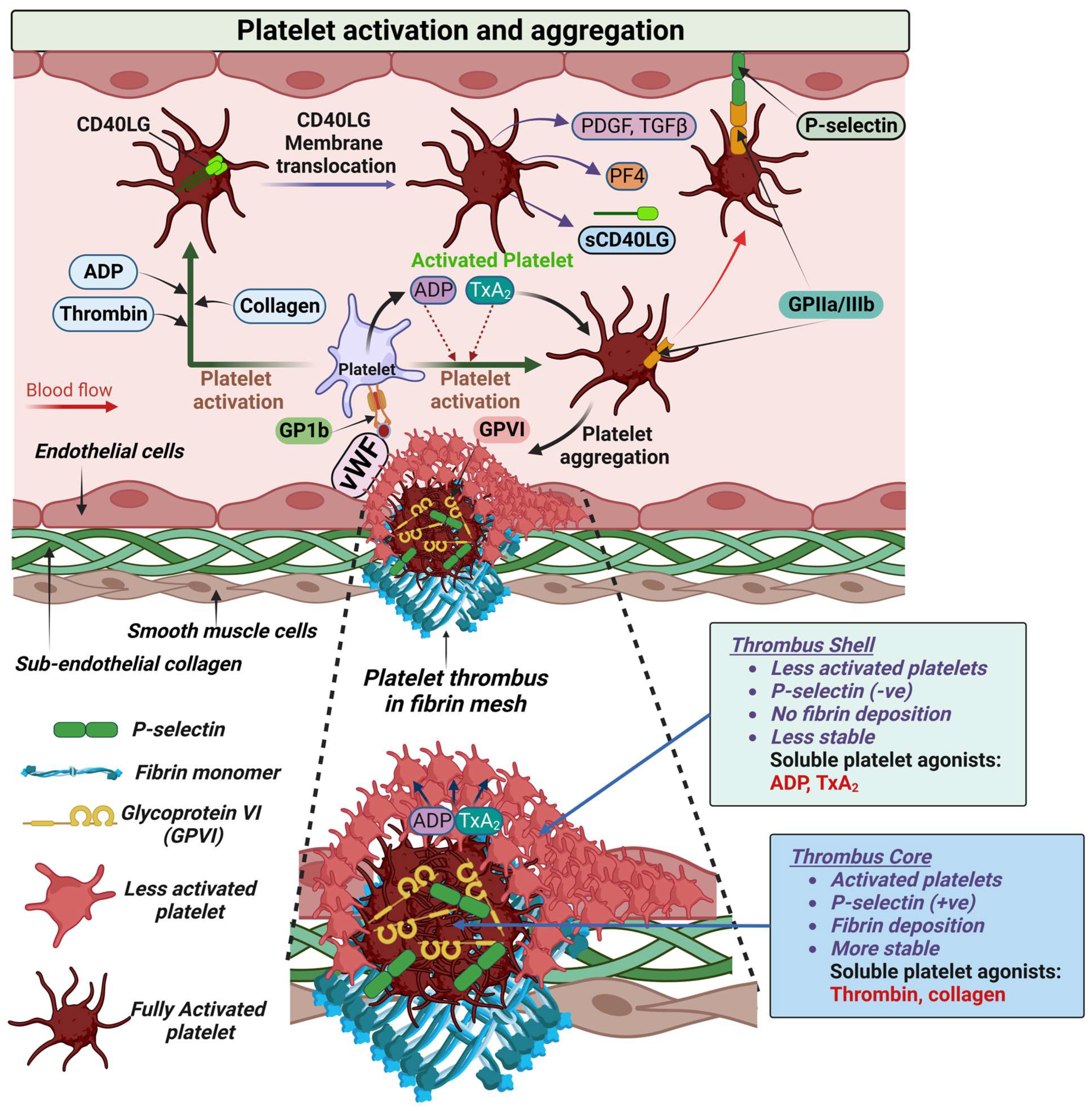 Biomolecules 13 00241 g002 Biomolecules 13 00241 g002