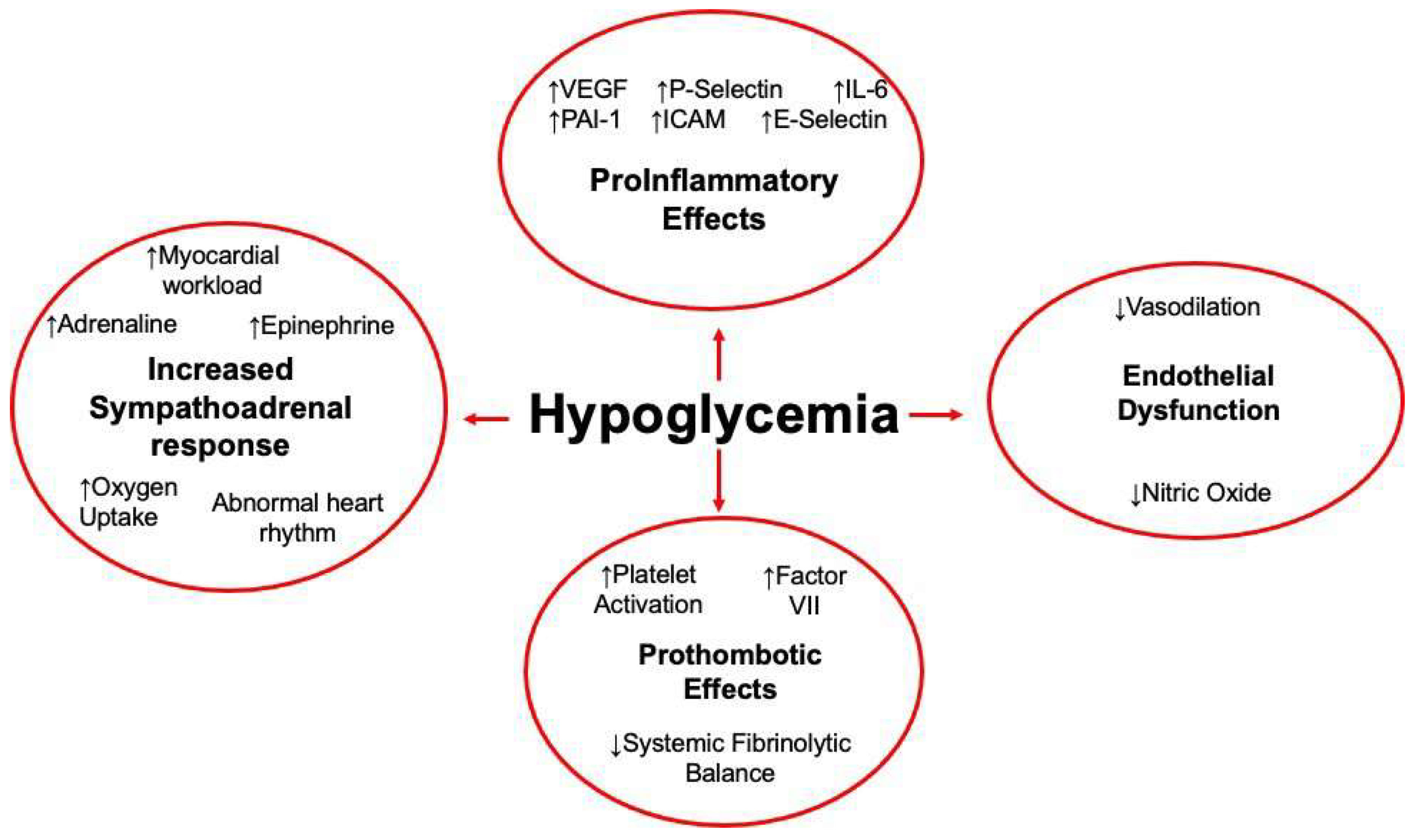 Biomolecules Free FullText The Role of Platelets in Hypoglycemia
