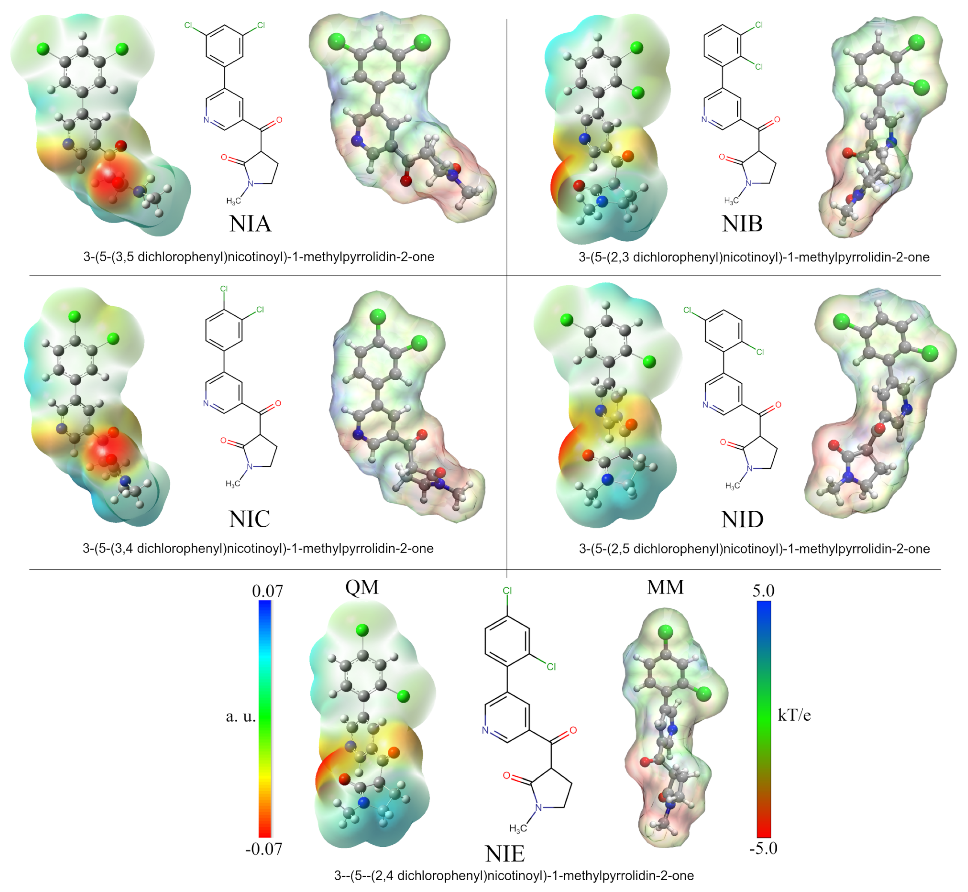 Biomolecules 13 00248 g001