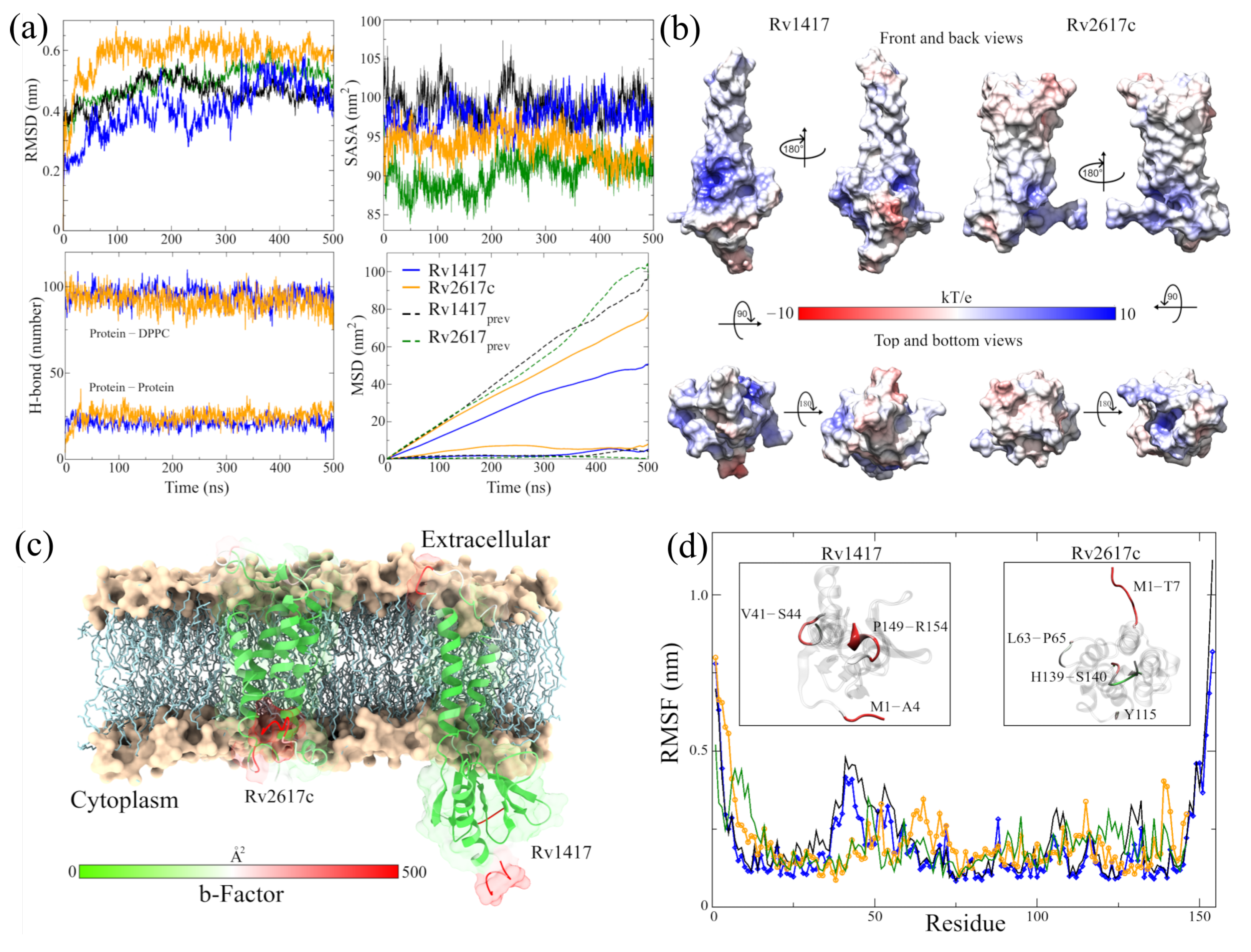 Biomolecules 13 00248 g002