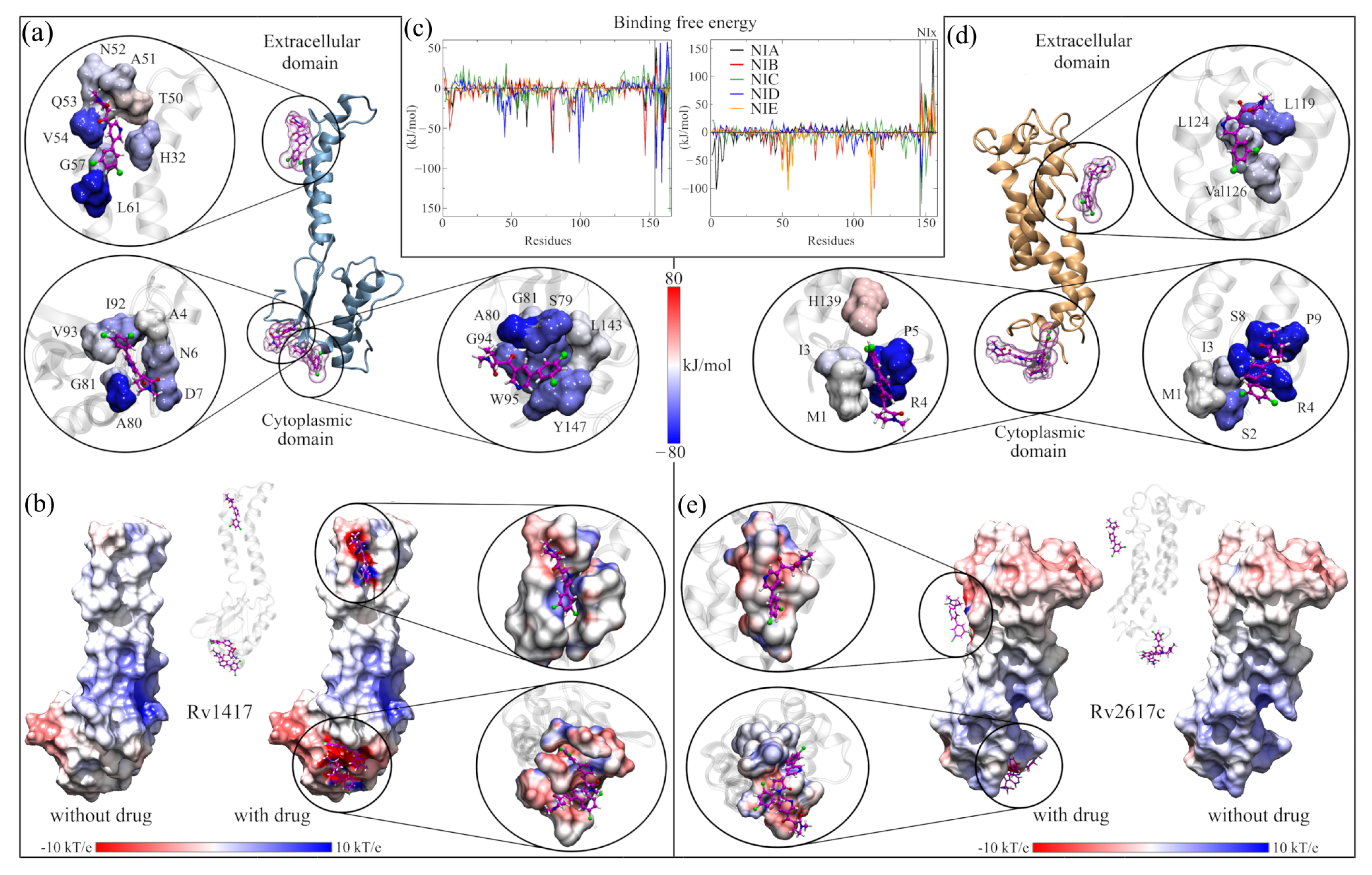 Biomolecules 13 00248 g006