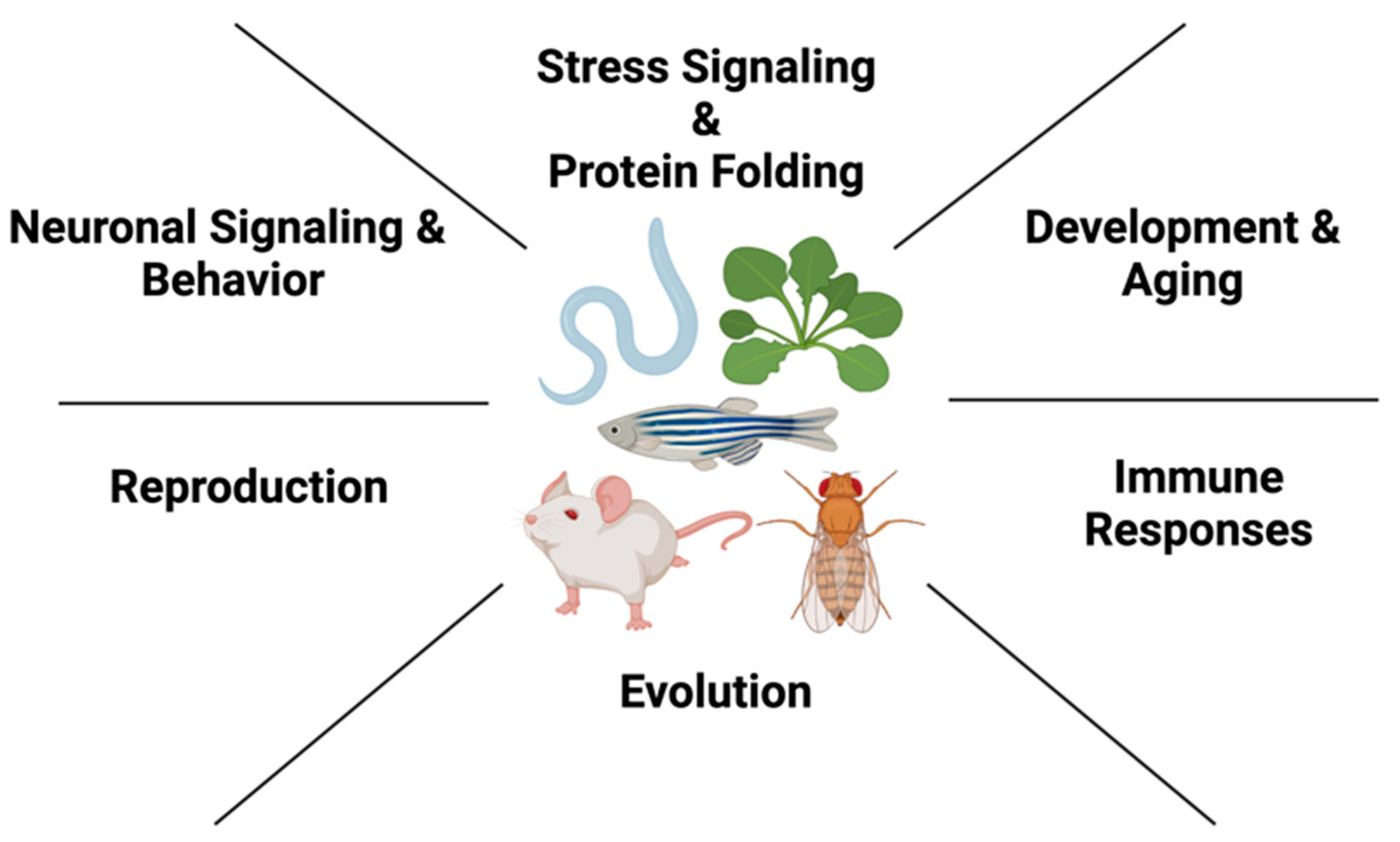 Biomolecules 13 00251 g001