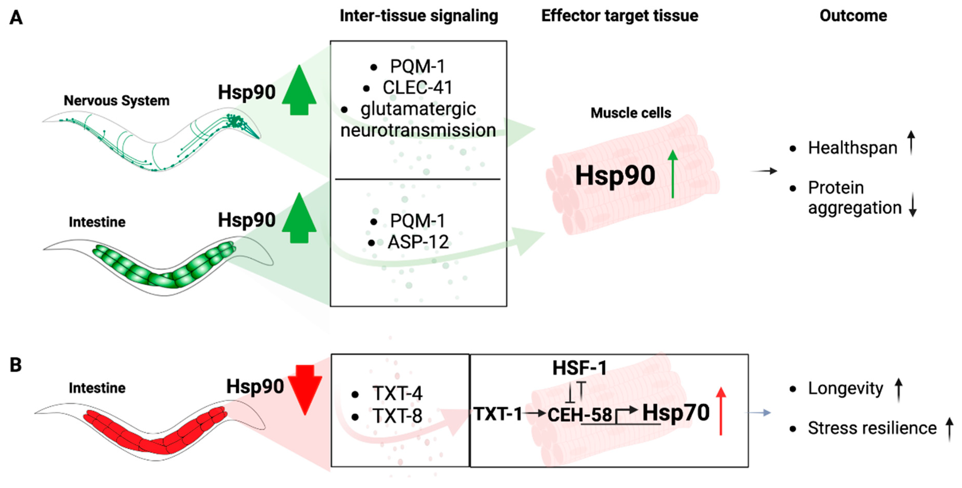 Biomolecules 13 00251 g002