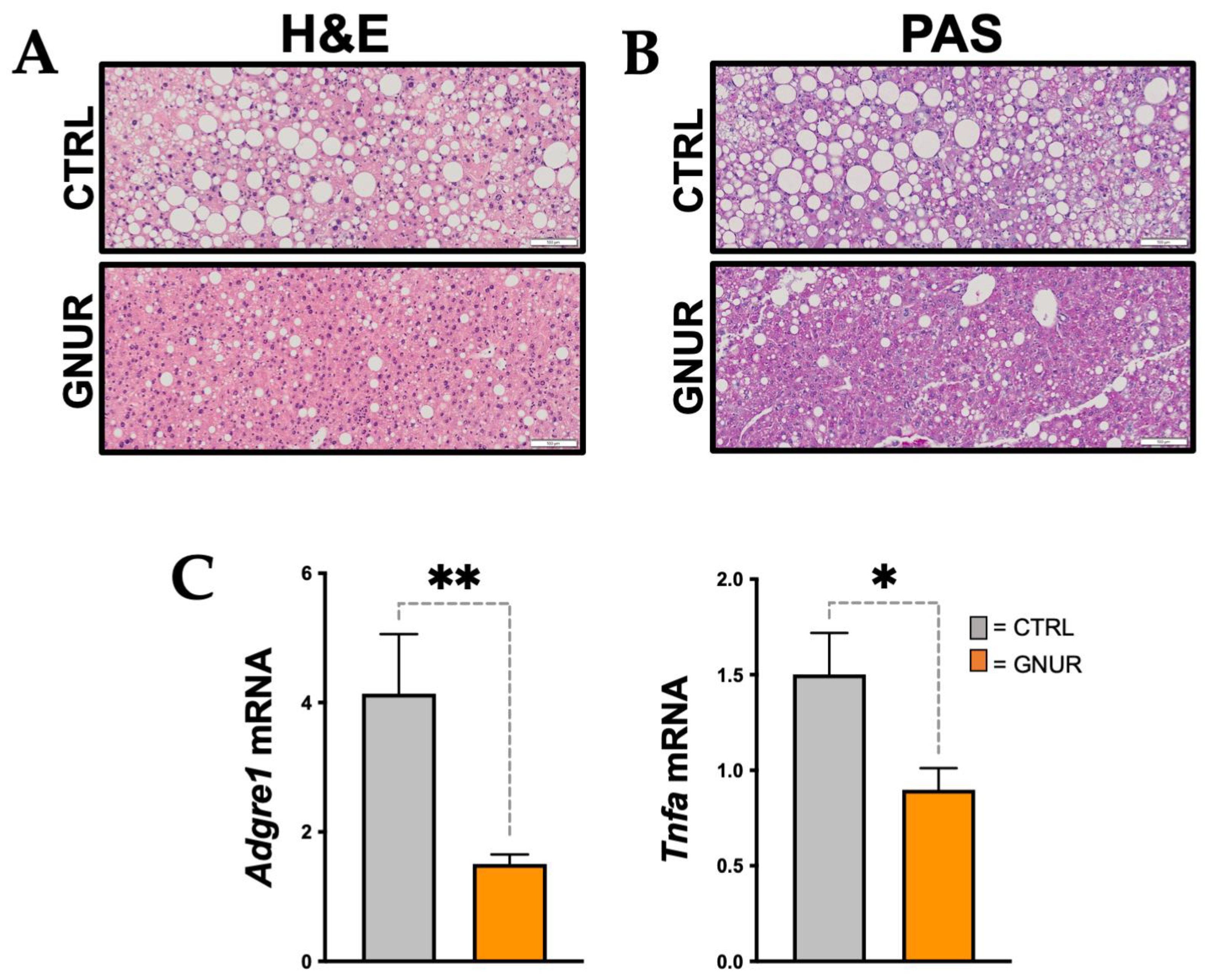 Biomolecules 13 00252 g002 Biomolecules 13 00252 g002