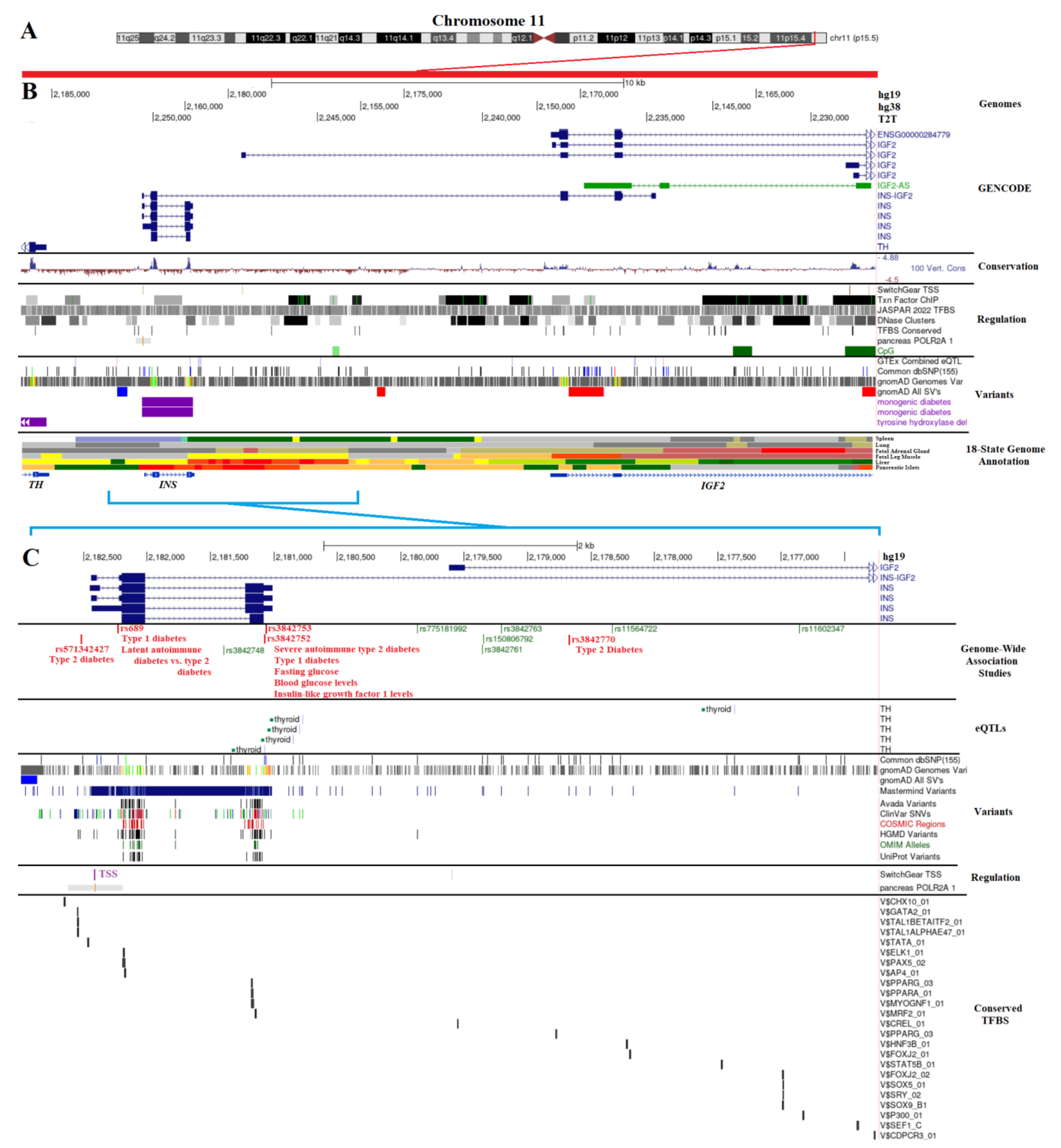 Biomolecules 13 00257 g001 Biomolecules 13 00257 g001