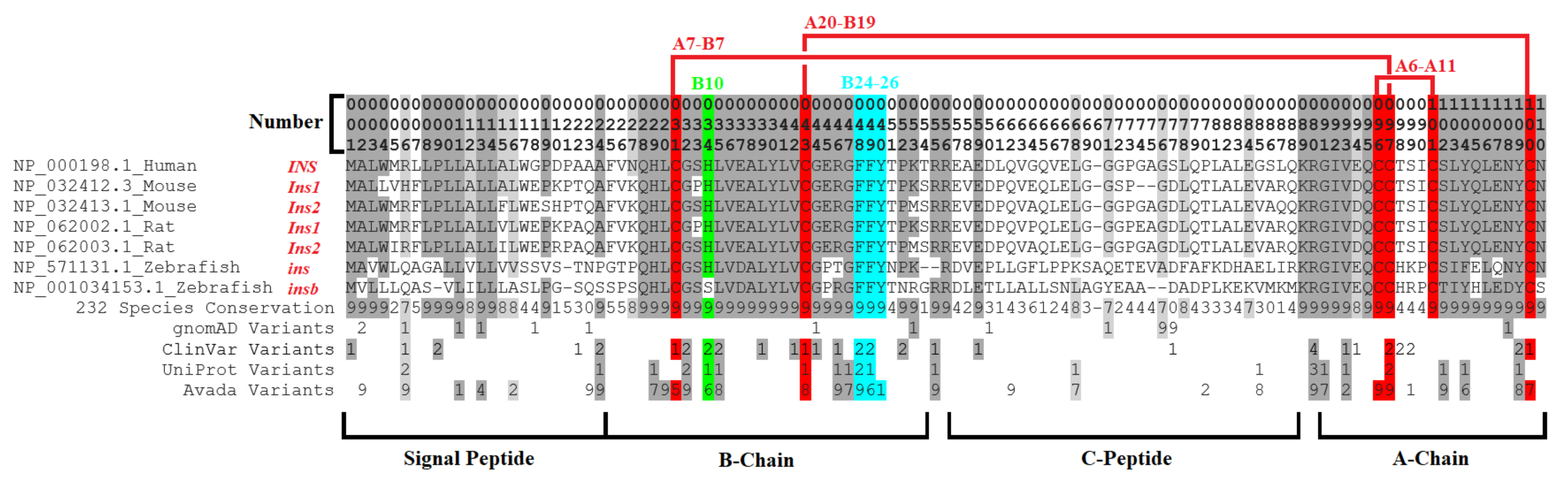 Biomolecules 13 00257 g009 Biomolecules 13 00257 g009