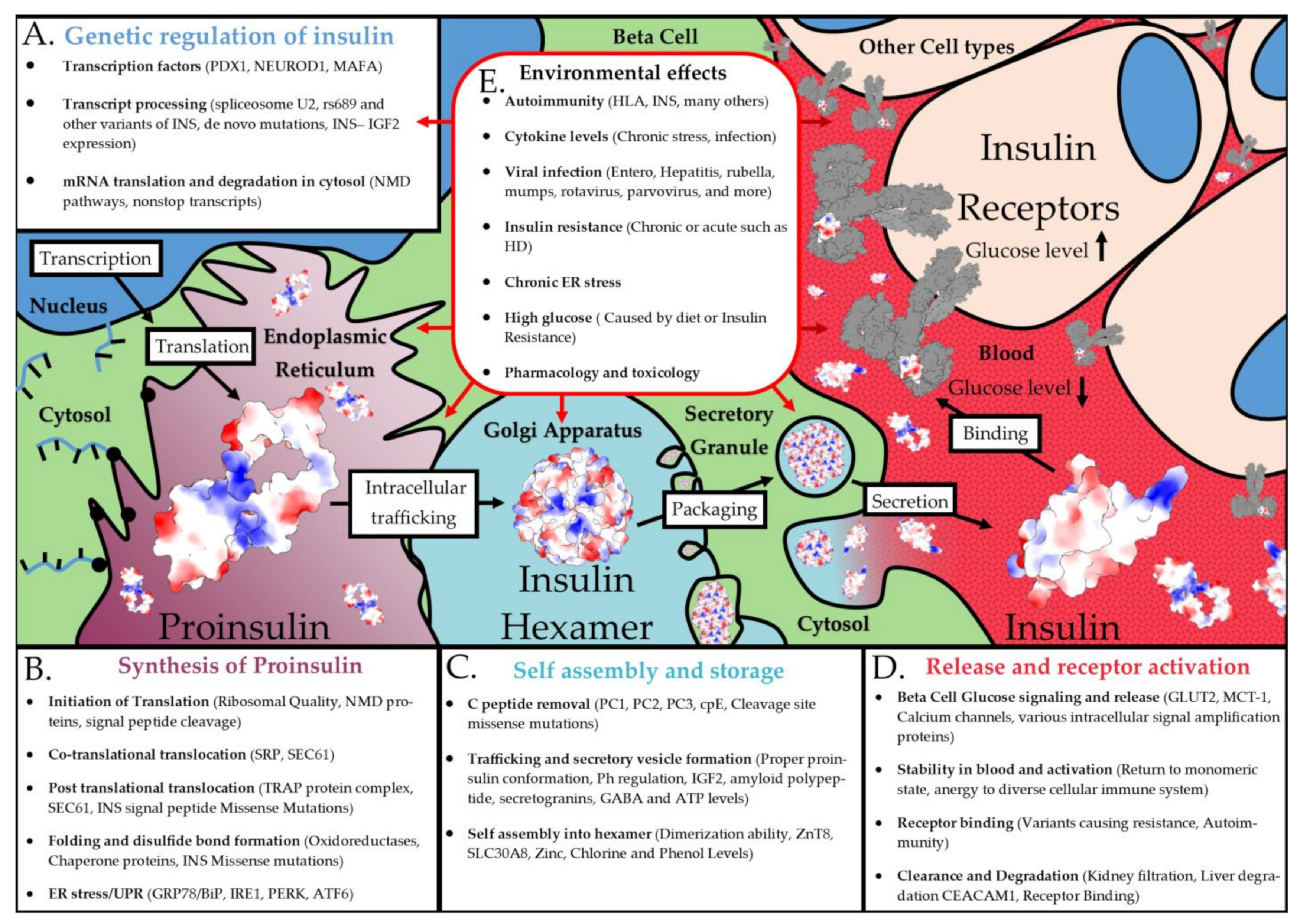 Biomolecules 13 00257 g011 Biomolecules 13 00257 g011