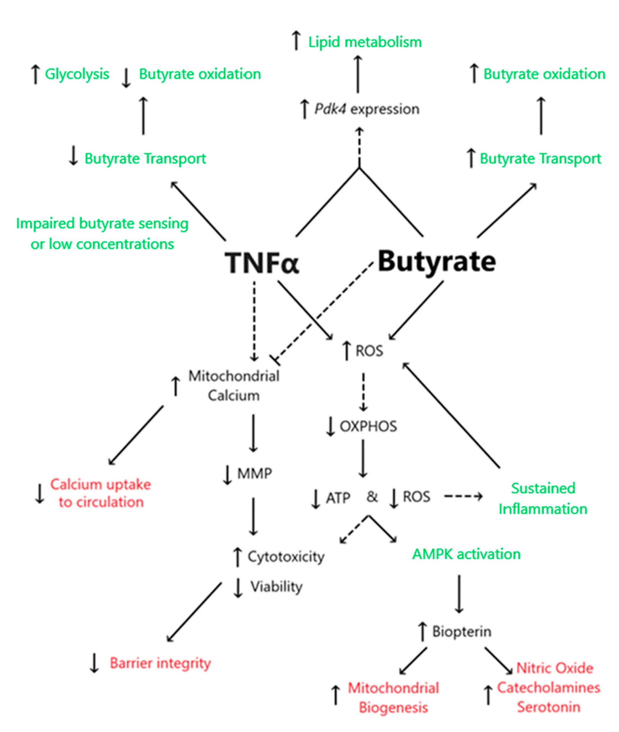 Biomolecules 13 00258 g012 Biomolecules 13 00258 g012