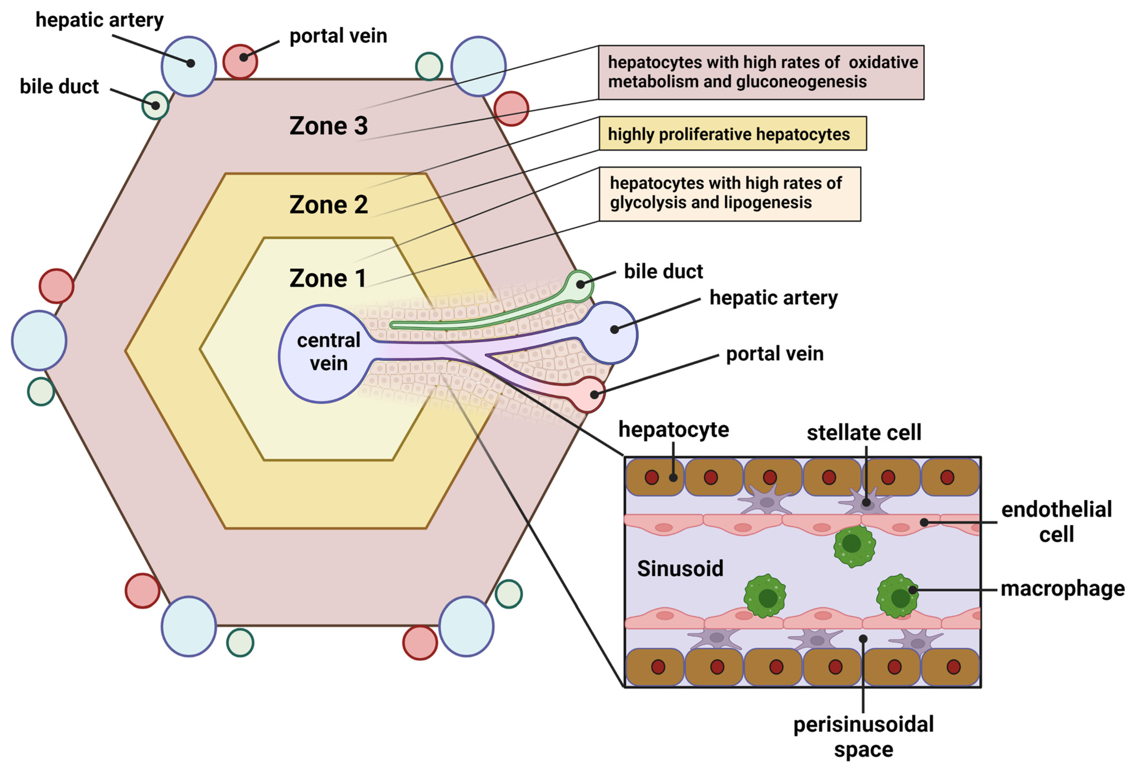 Biomolecules 13 00261 g002 Biomolecules 13 00261 g002