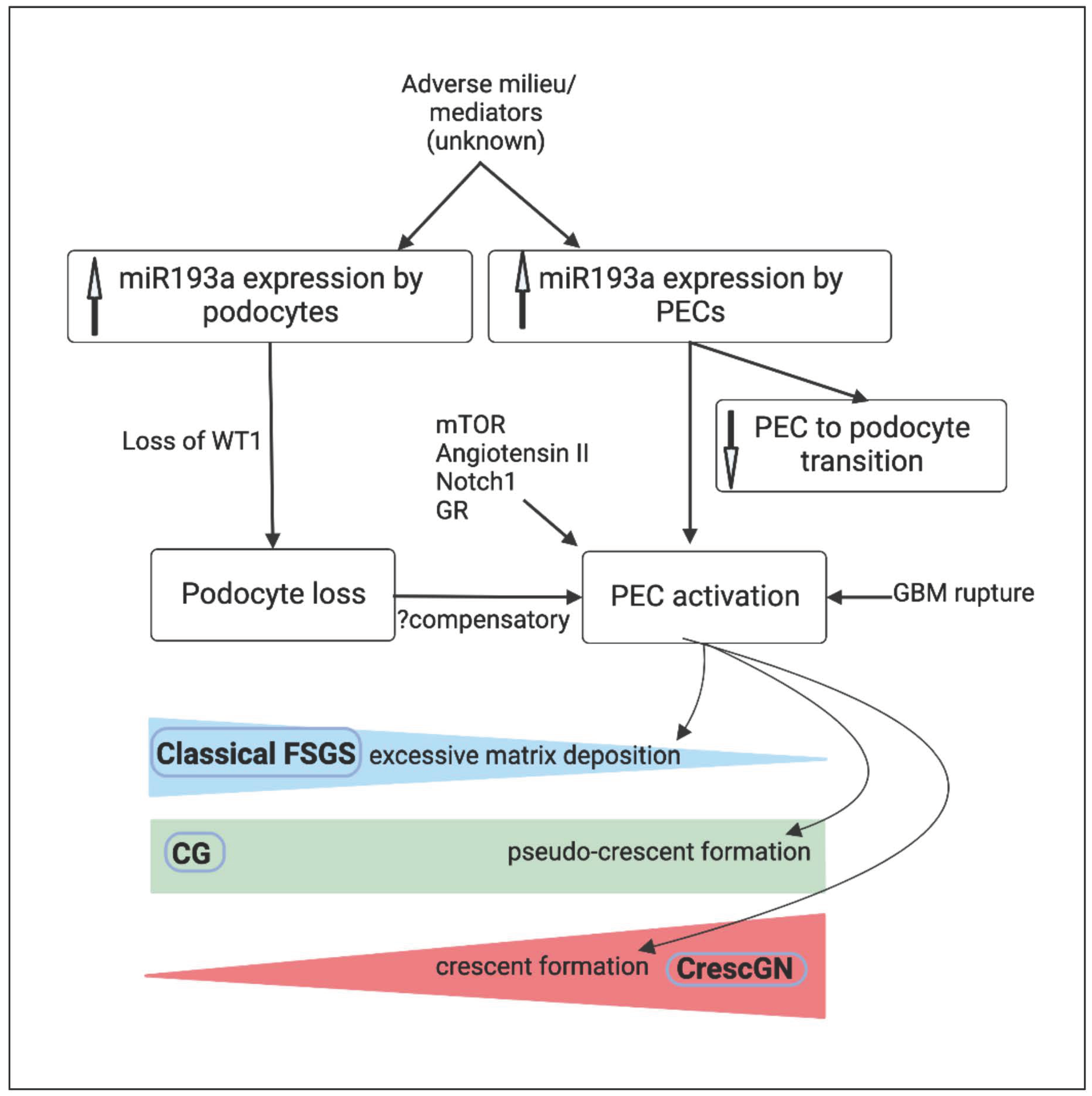 Biomolecules 13 00266 g003