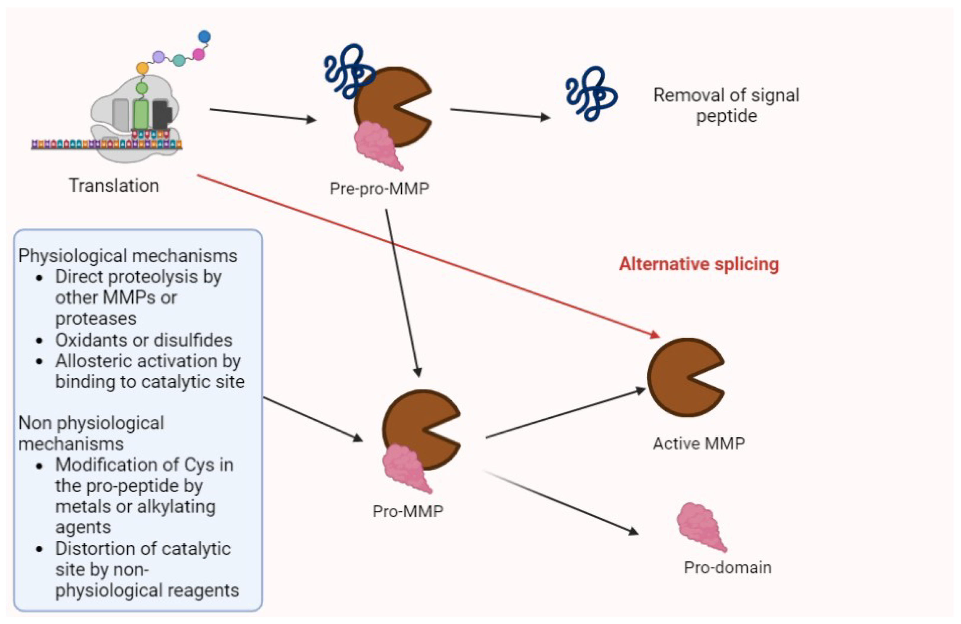 Biomolecules 13 00268 g001 Biomolecules 13 00268 g001