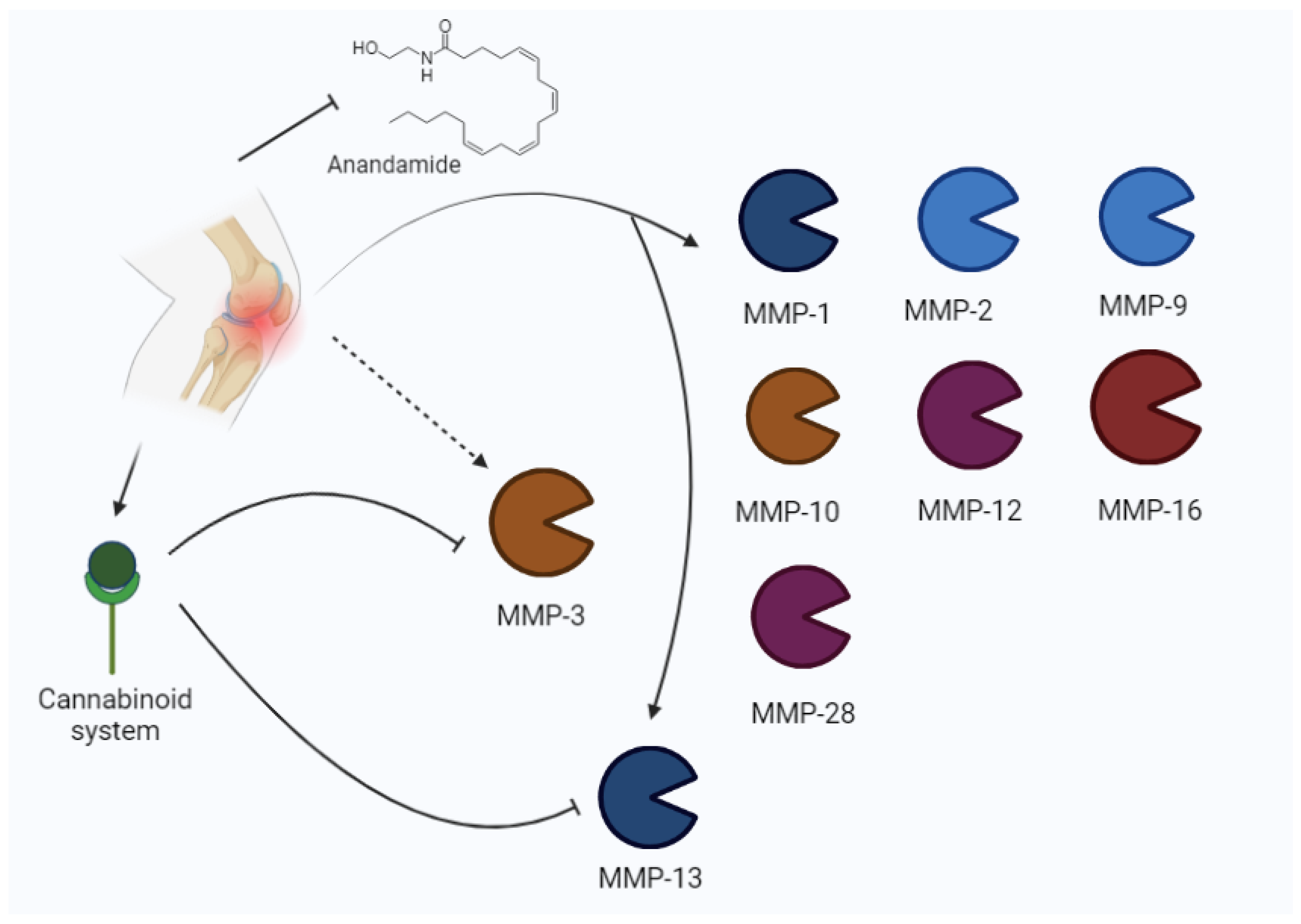 Biomolecules 13 00268 g004 Biomolecules 13 00268 g004