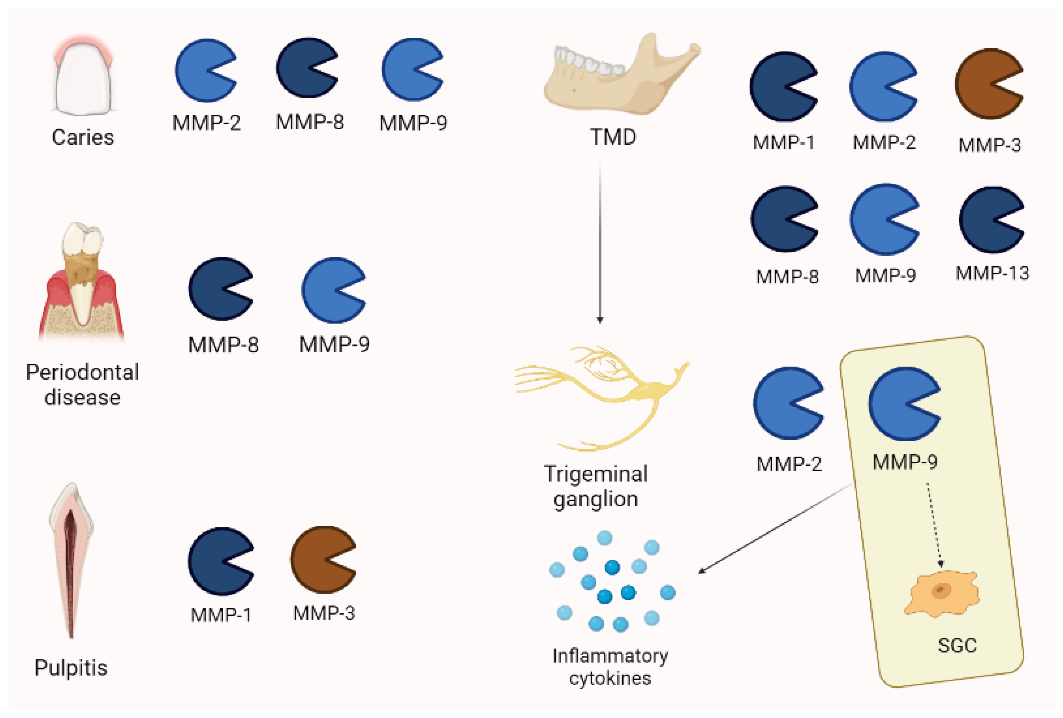 Biomolecules 13 00268 g007 Biomolecules 13 00268 g007