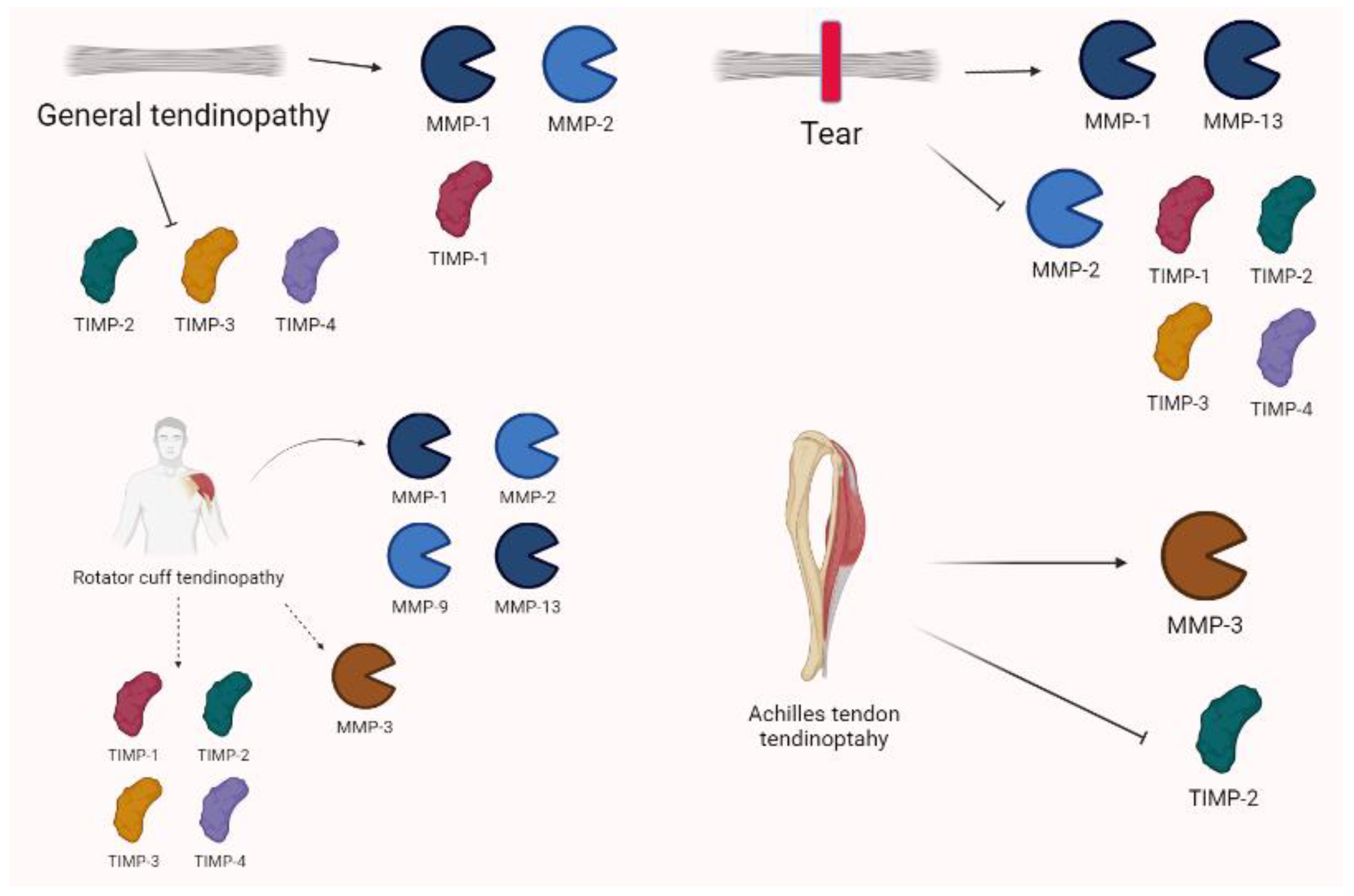Biomolecules 13 00268 g008 Biomolecules 13 00268 g008