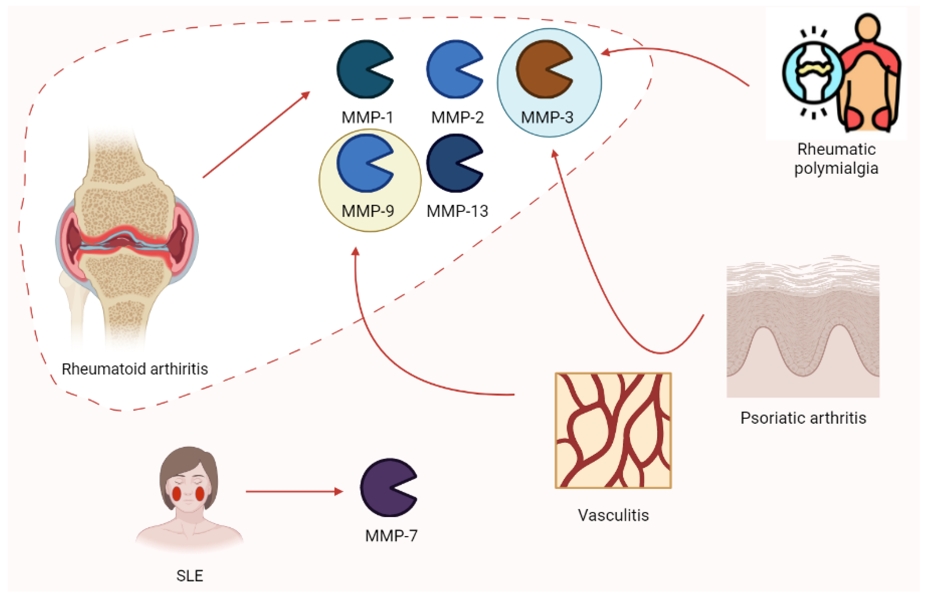 Biomolecules 13 00268 g010 Biomolecules 13 00268 g010