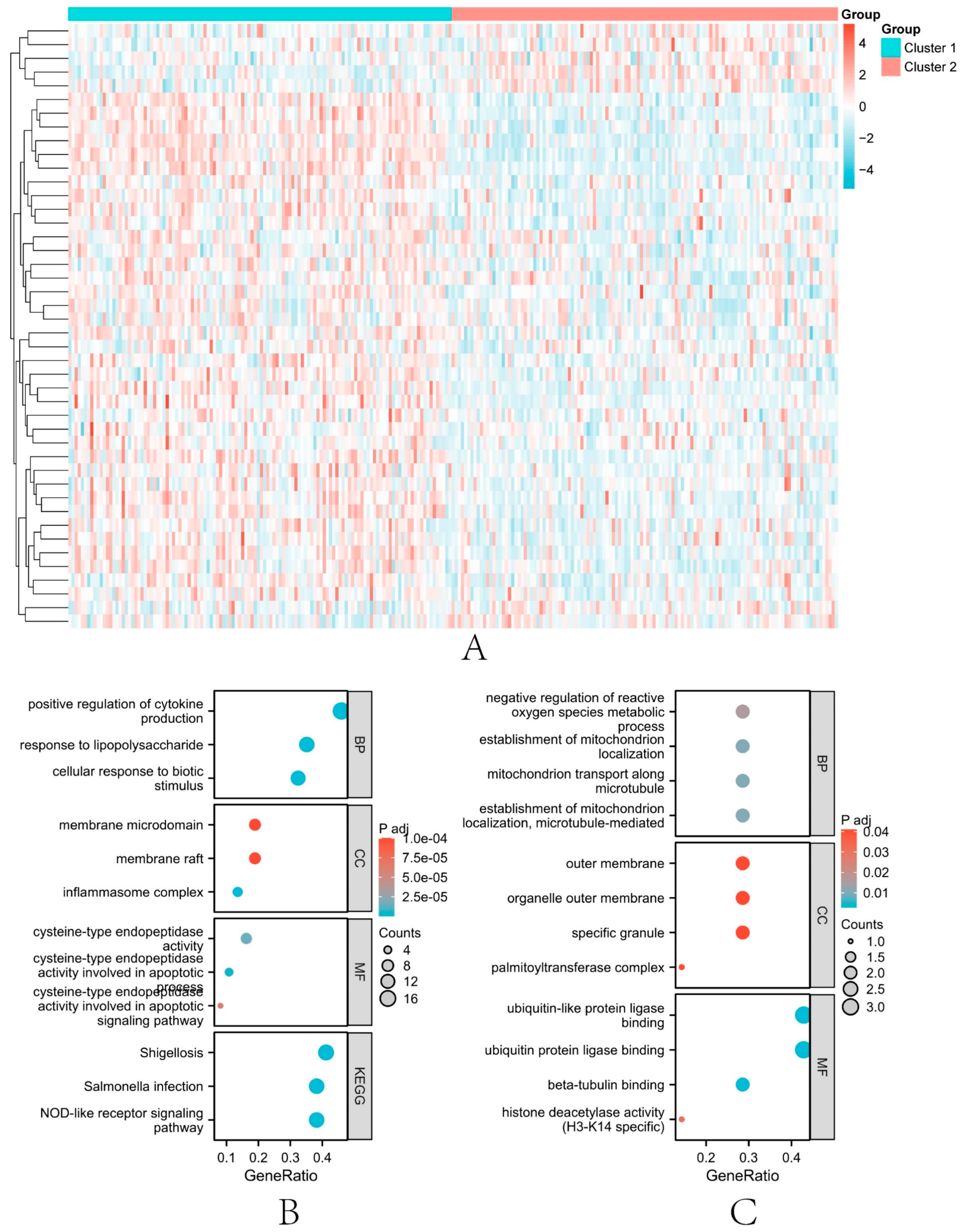 Biomolecules 13 00275 g004