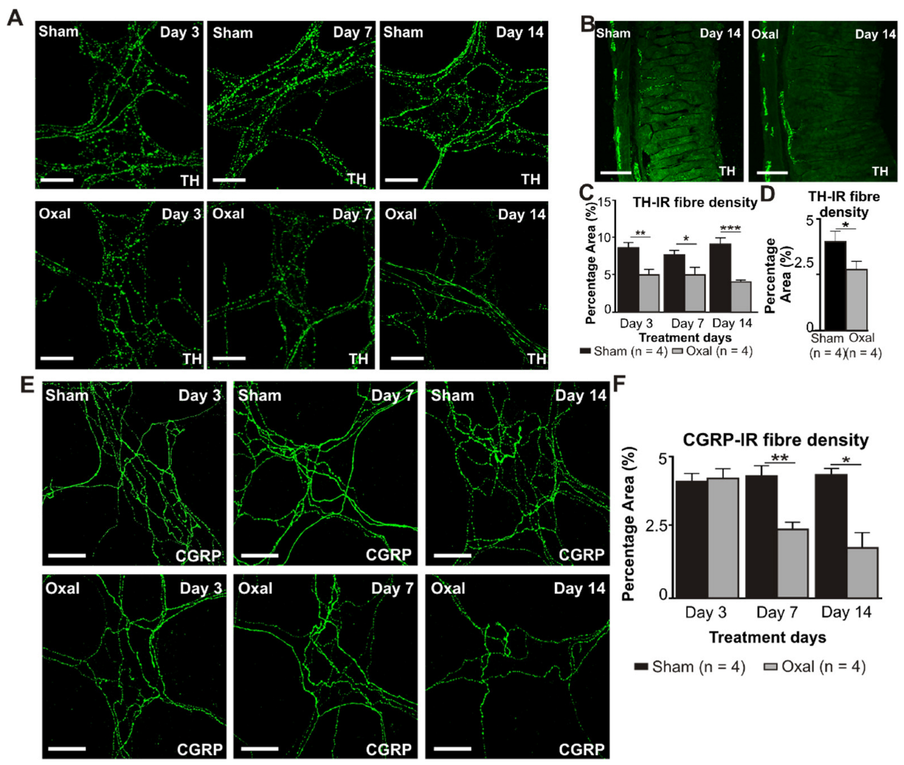 Biomolecules 13 00276 g006 Biomolecules 13 00276 g006