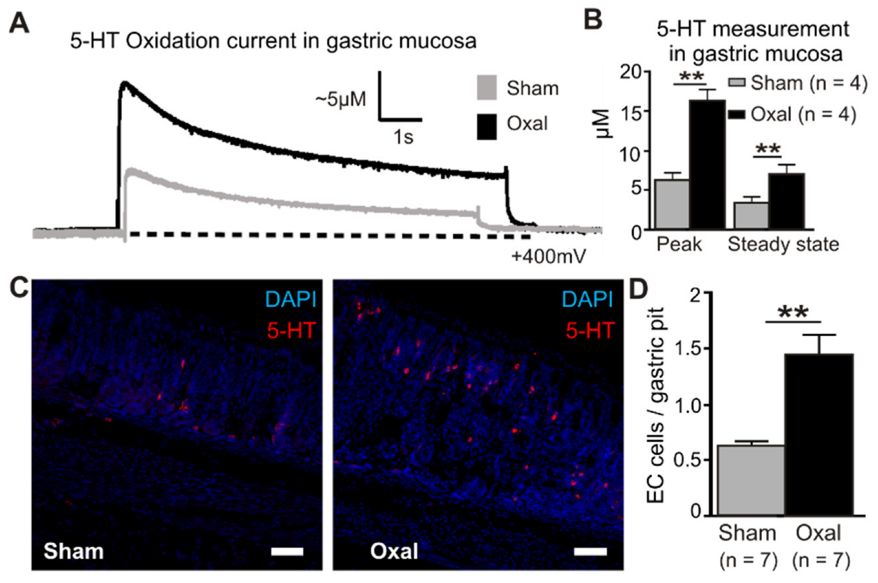 Biomolecules 13 00276 g007 Biomolecules 13 00276 g007