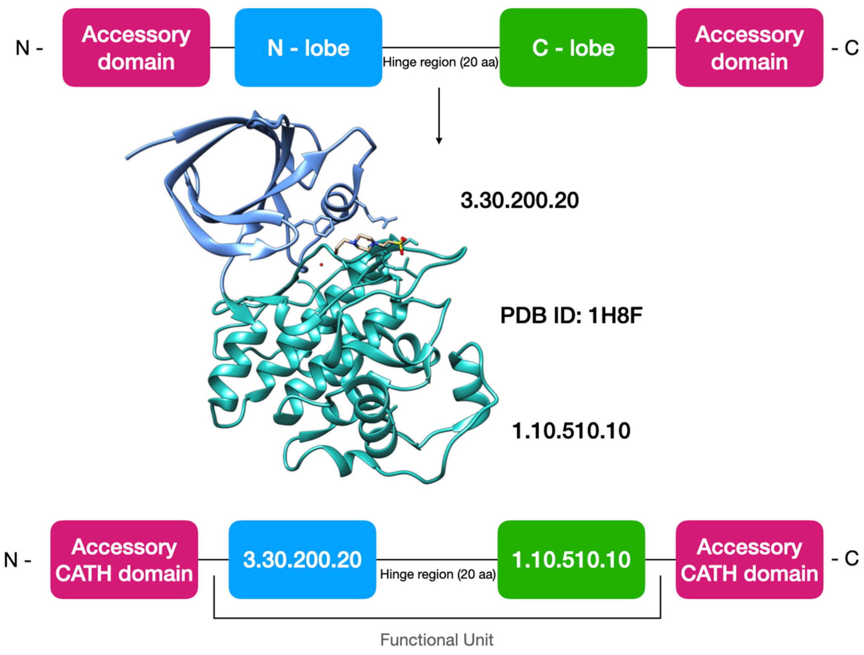 Biomolecules Free FullText KinFams DeNovo Classification of